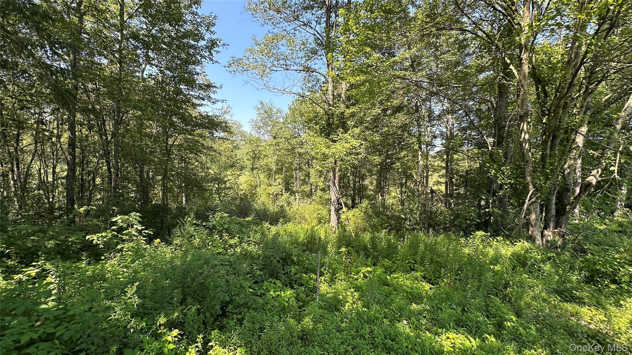 3377 State Route 52, White Sulphur Spring, NY 12787