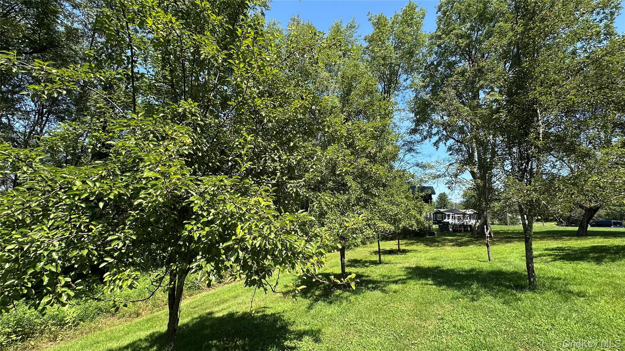 3377 State Route 52, White Sulphur Spring, NY 12787