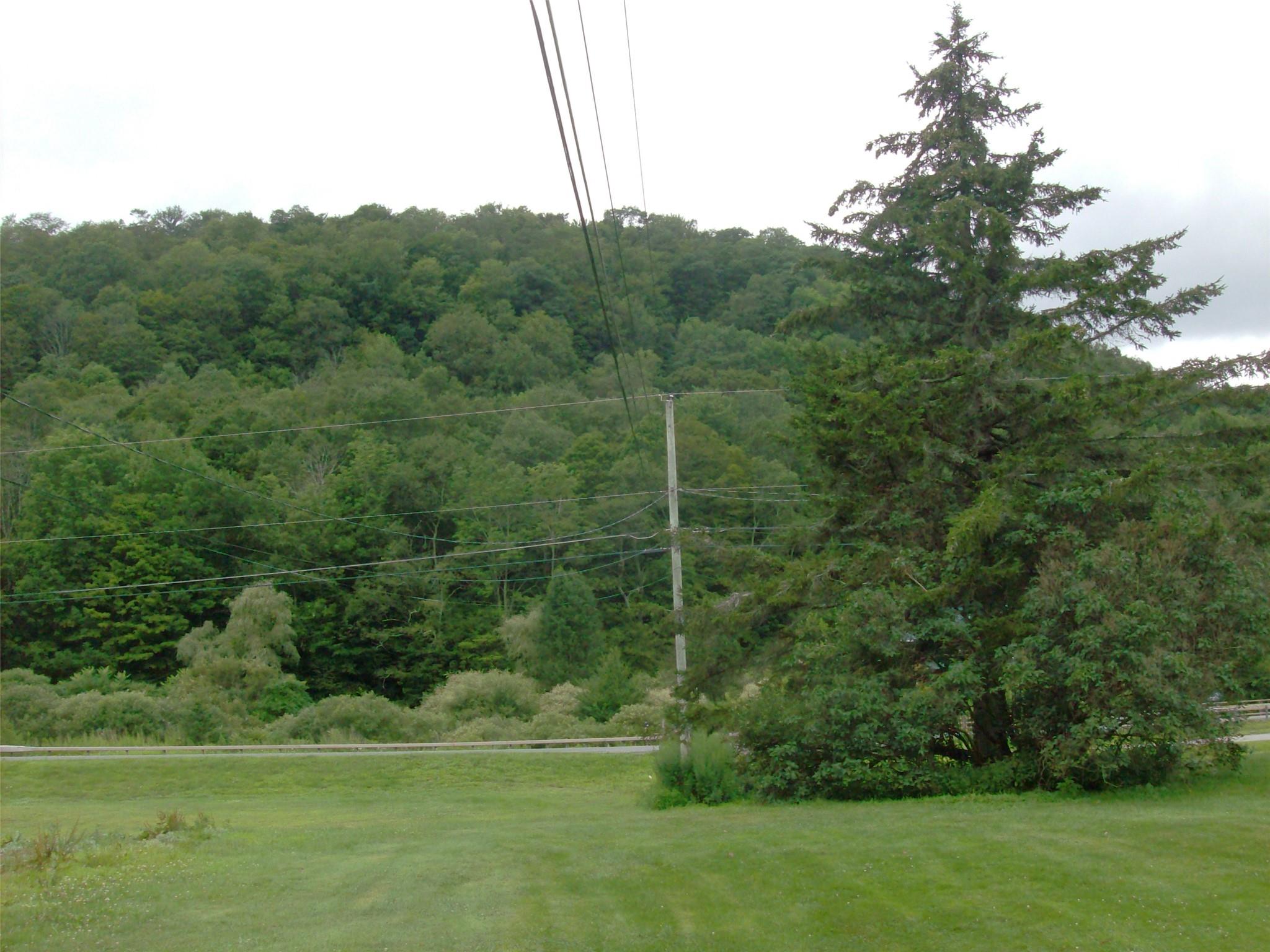 14 Fulton Road, Roscoe, NY 12776