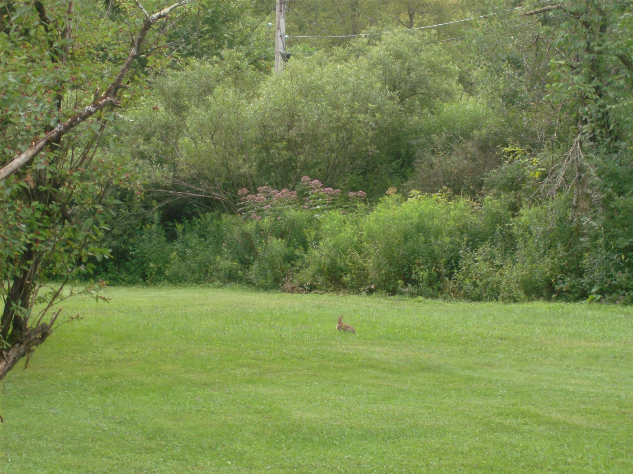 14 Fulton Road, Roscoe, NY 12776