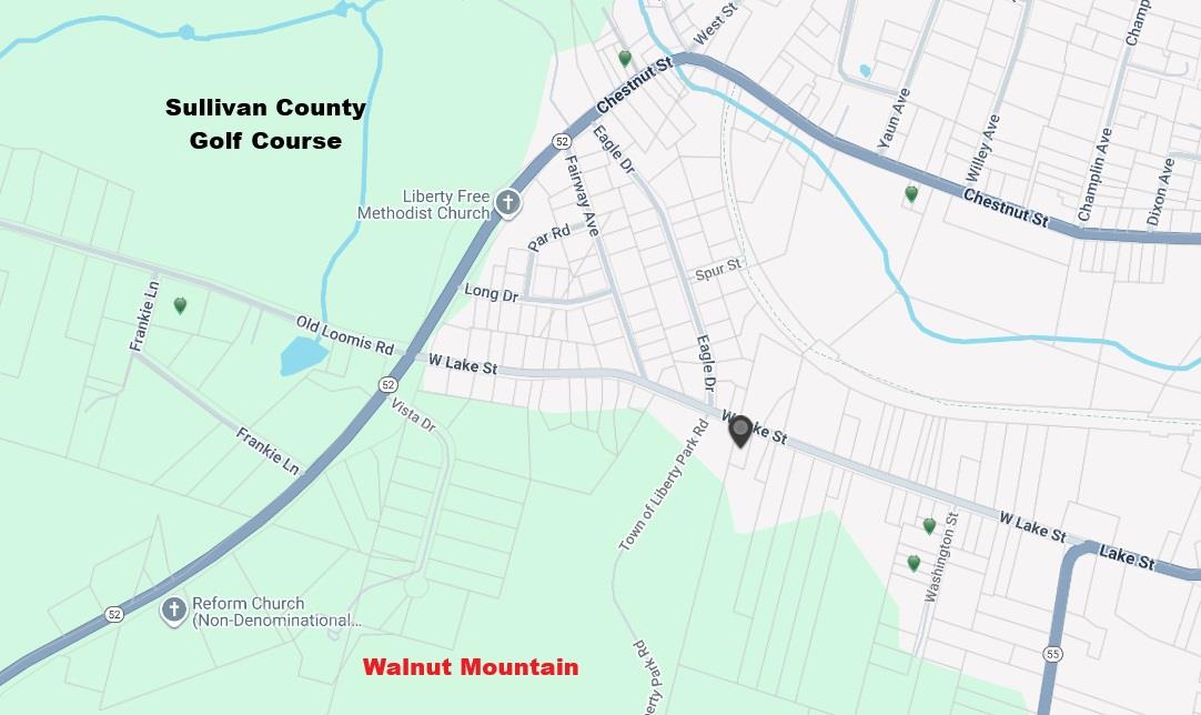 316 W Lake Street, Liberty, NY 12754