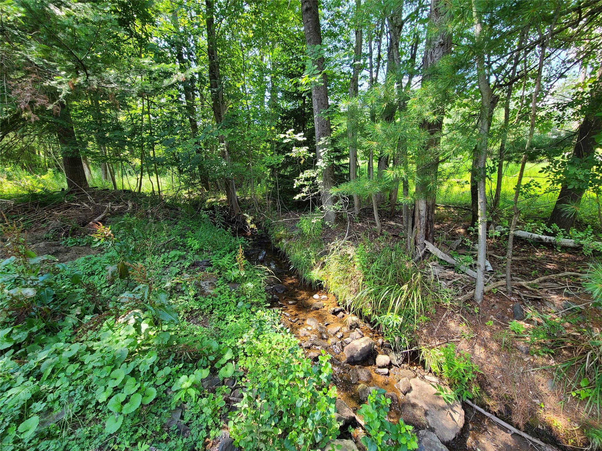 316 W Lake Street, Liberty, NY 12754