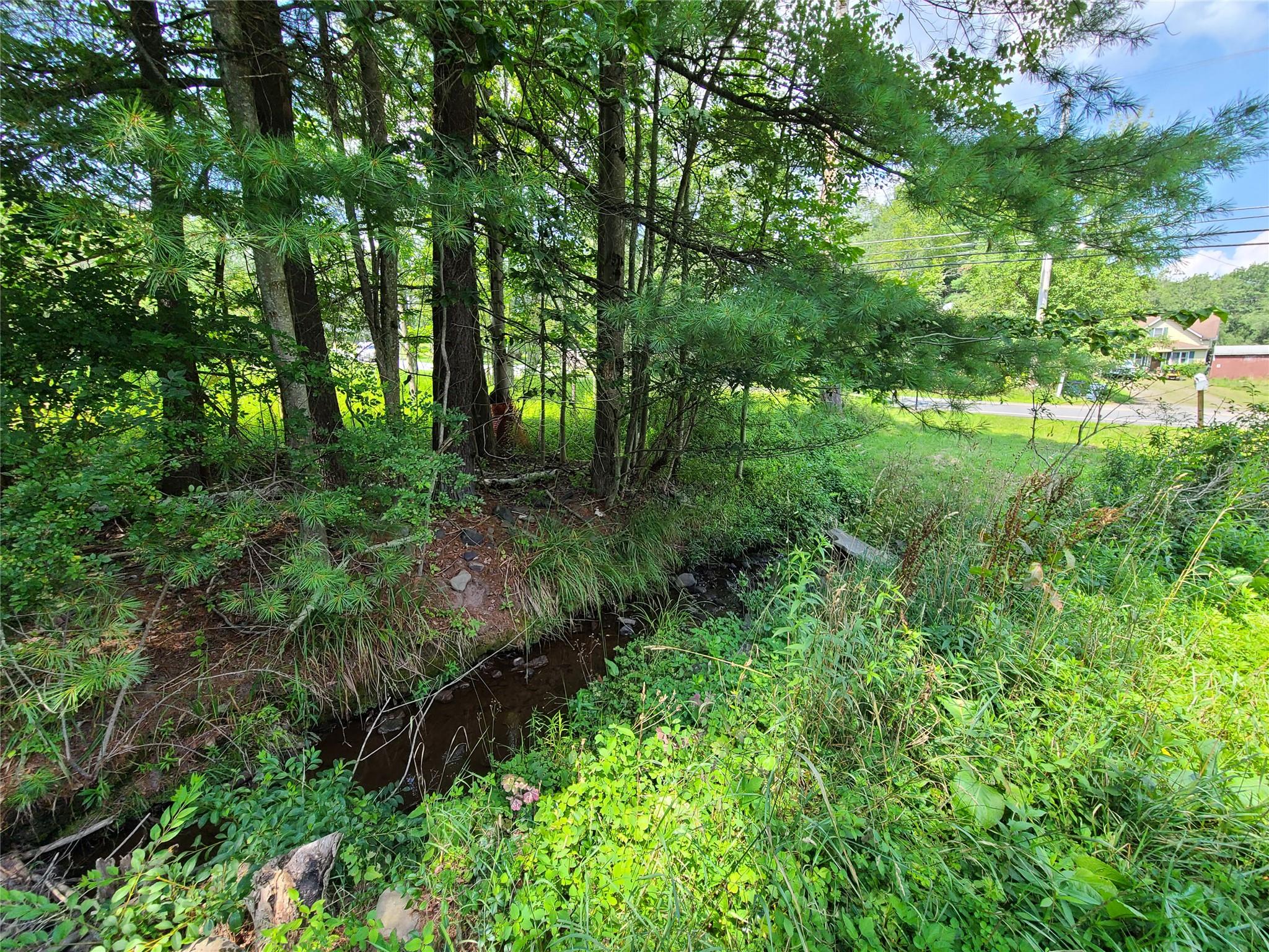 316 W Lake Street, Liberty, NY 12754