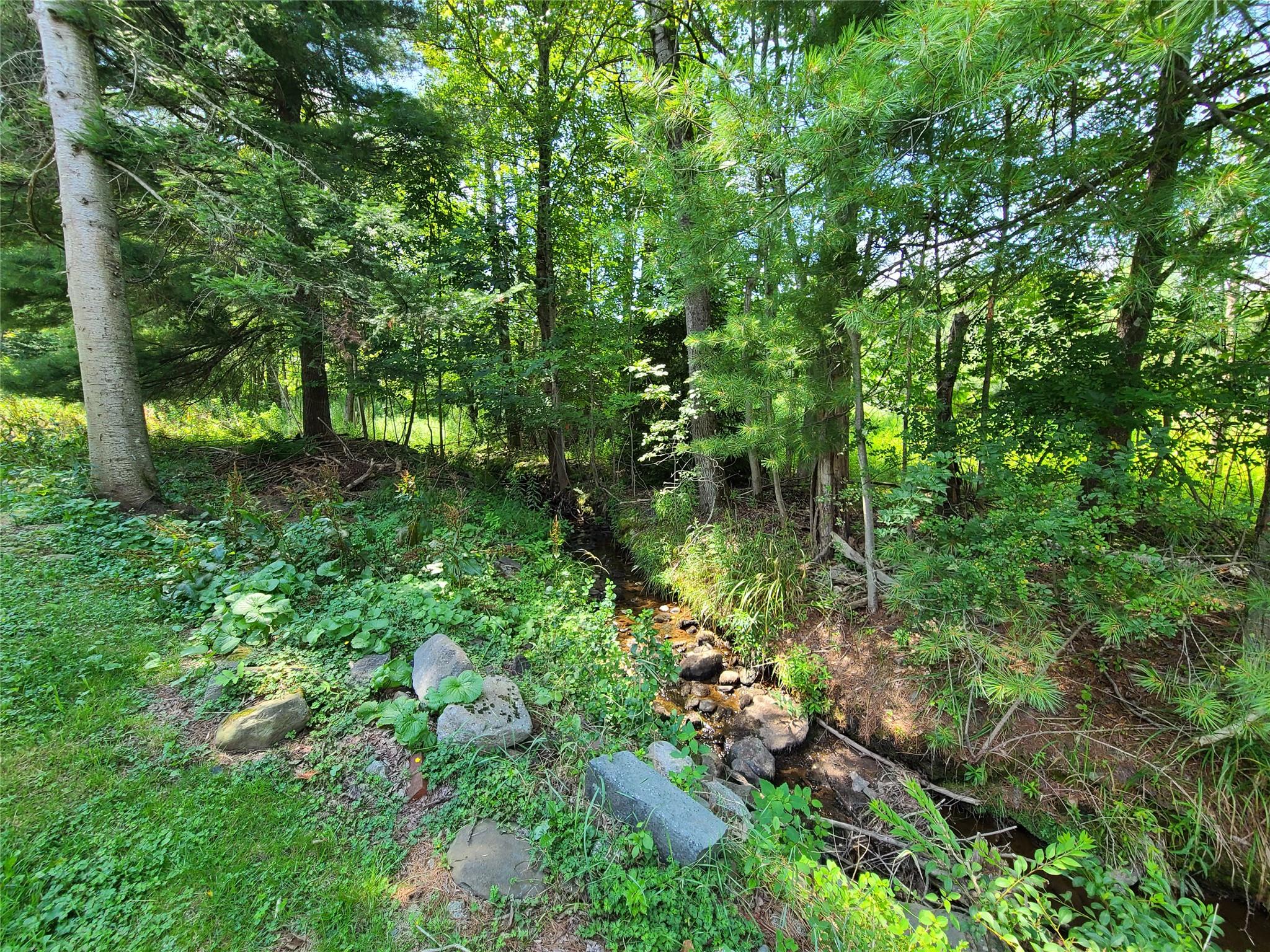 316 W Lake Street, Liberty, NY 12754