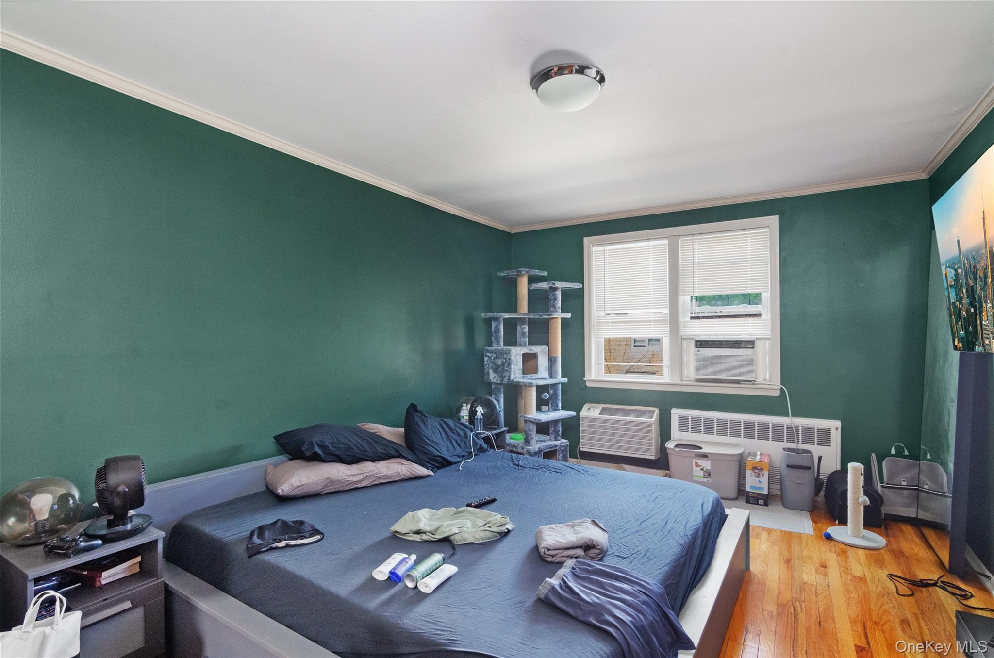 742 E 58th Street, Brooklyn, NY 11234