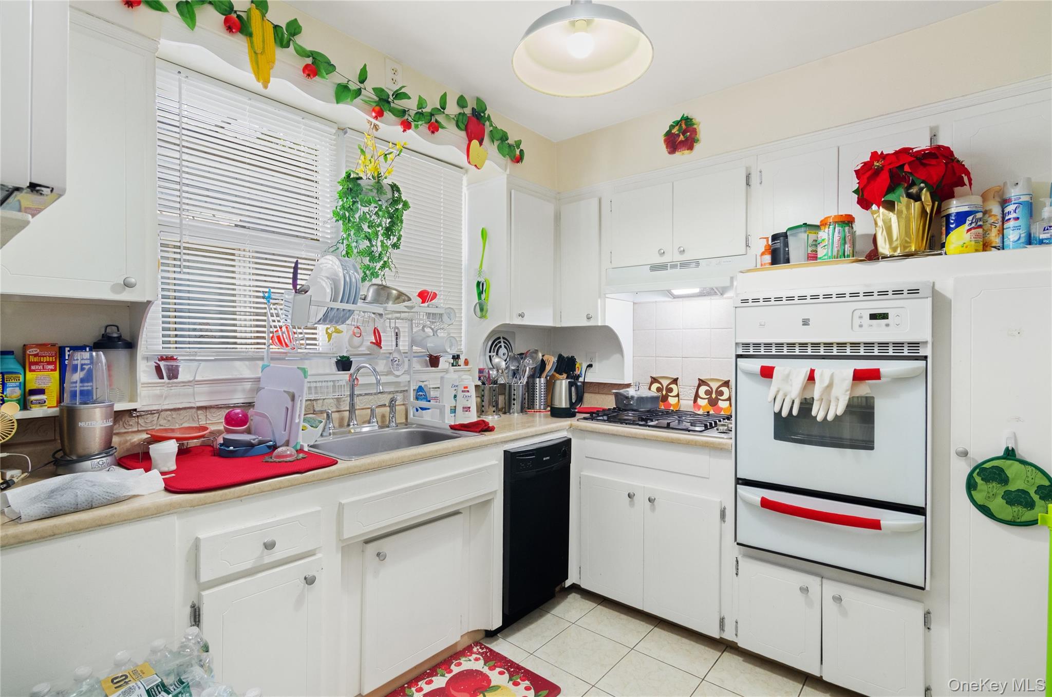 742 E 58th Street, Brooklyn, NY 11234