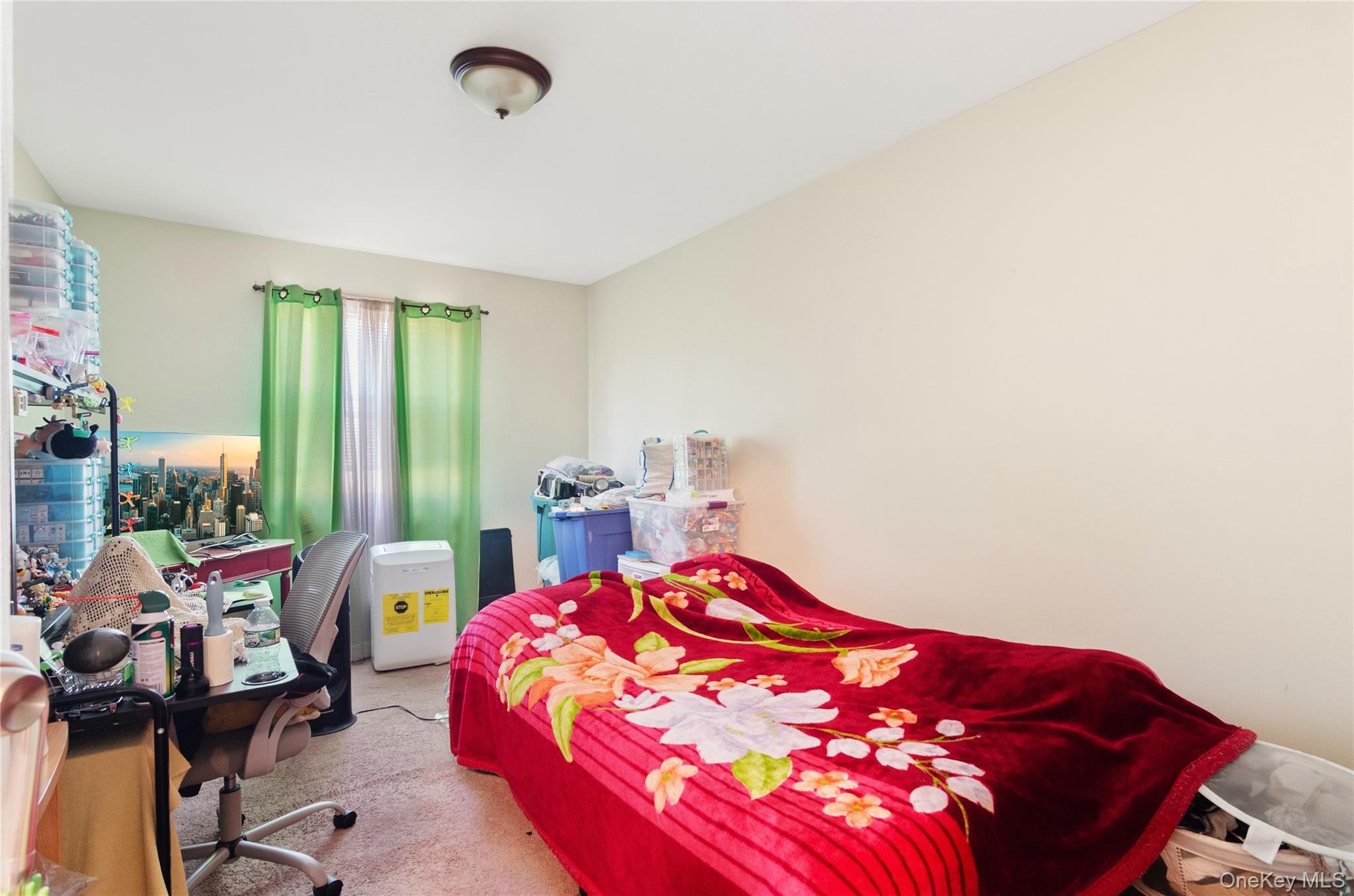 742 E 58th Street, Brooklyn, NY 11234