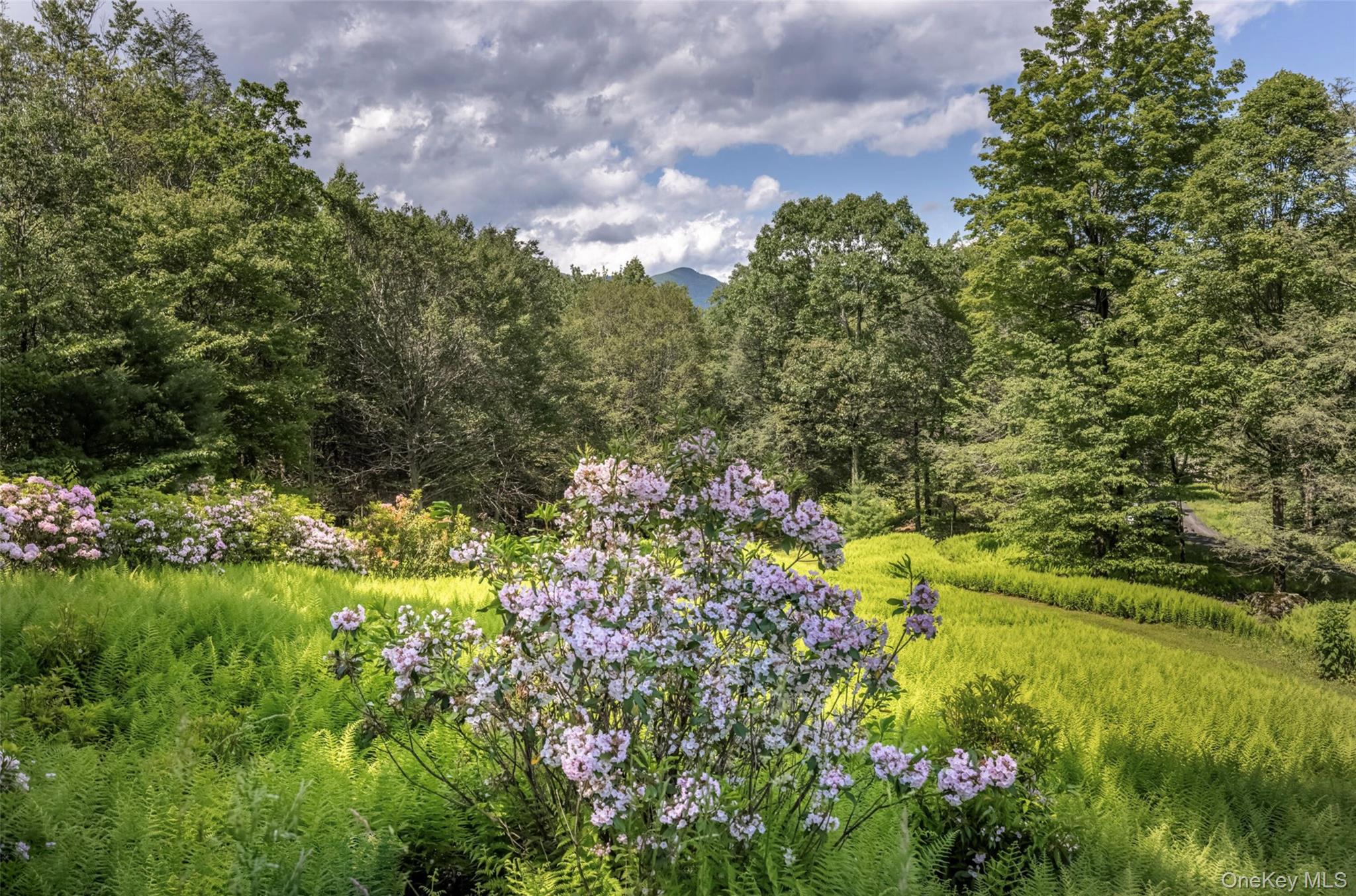 128 Newcut Road, Woodstock, NY 12498