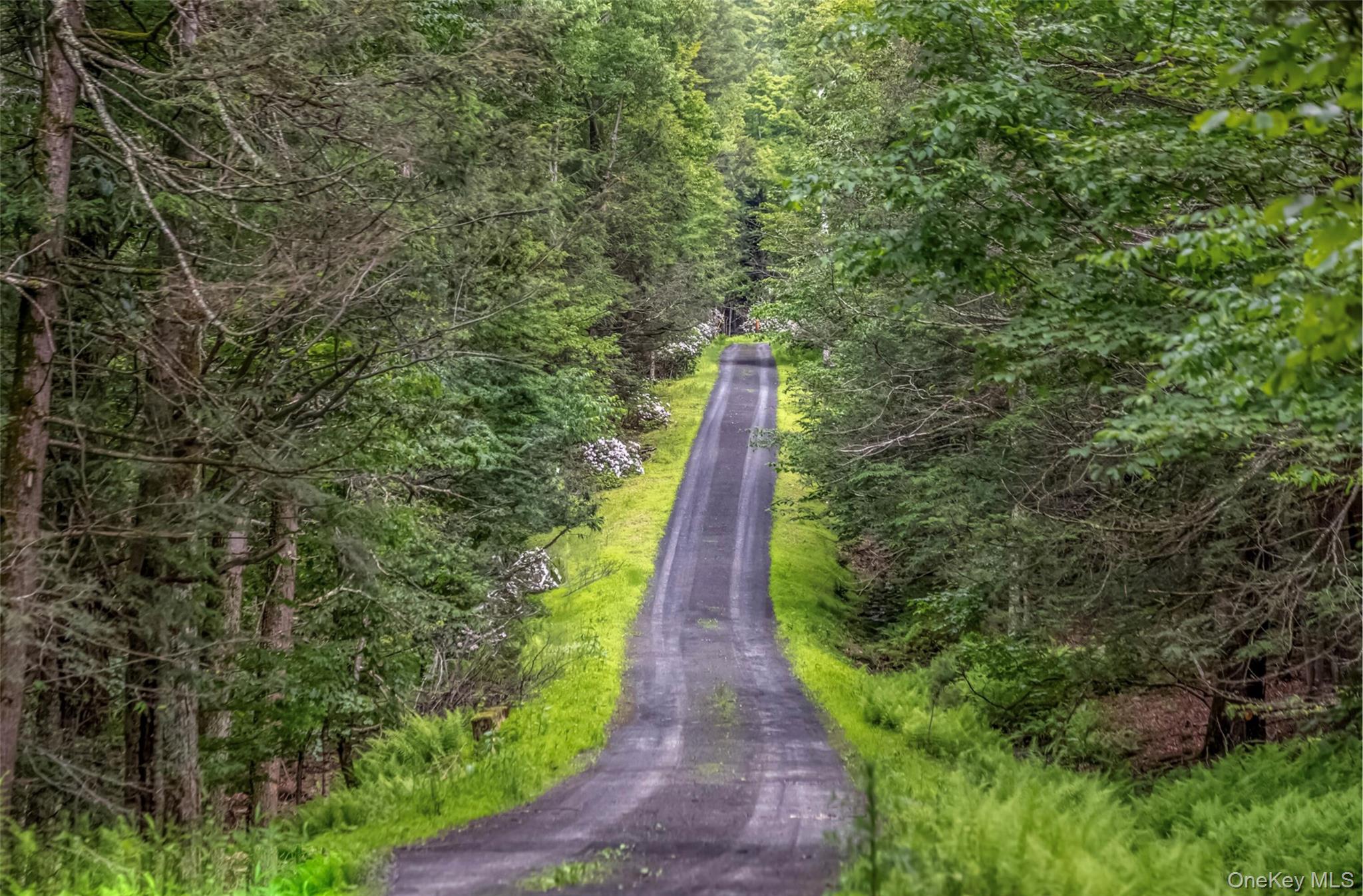 128 Newcut Road, Woodstock, NY 12498