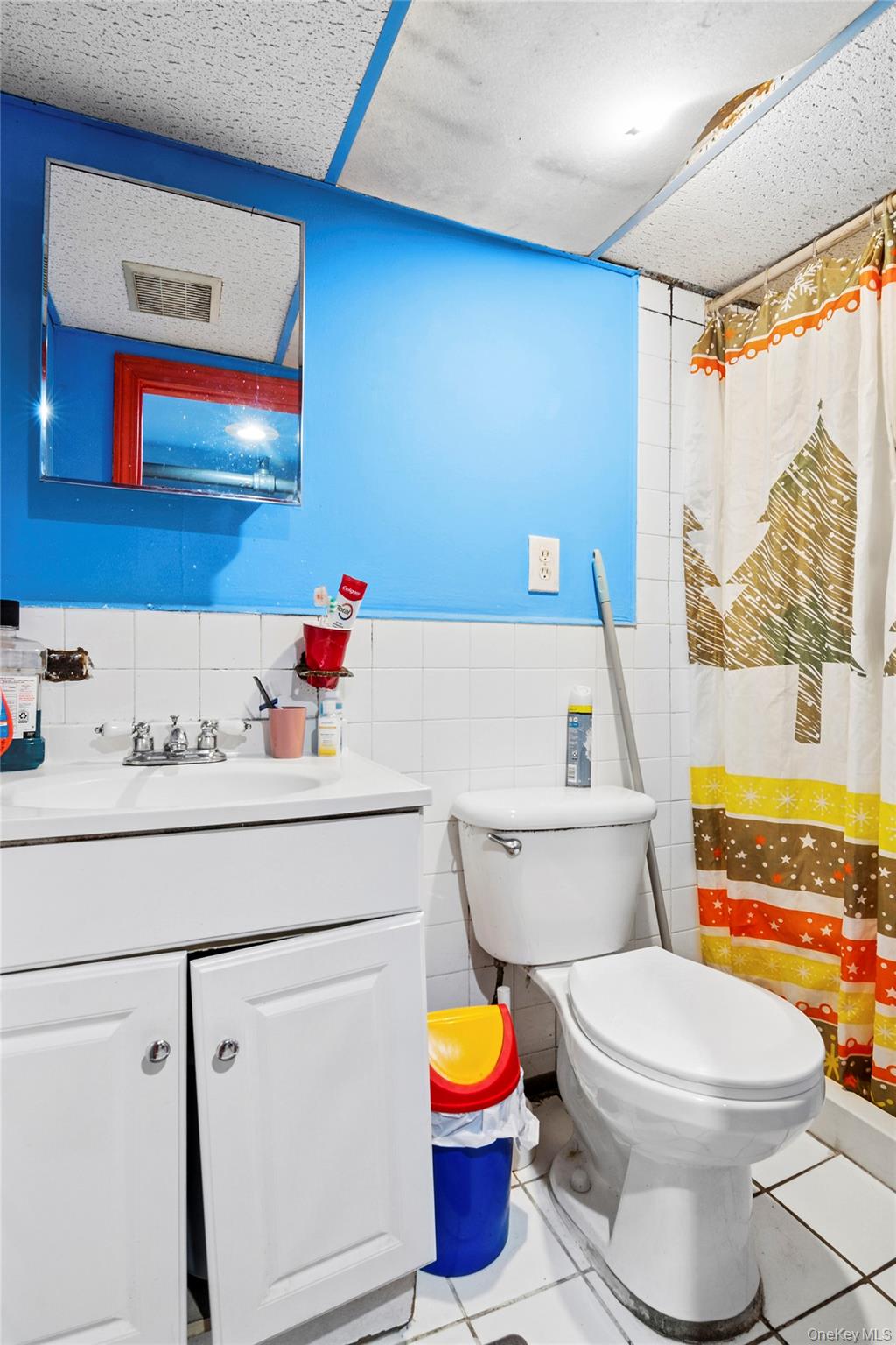 809 Friel Place, Brooklyn, NY 11218