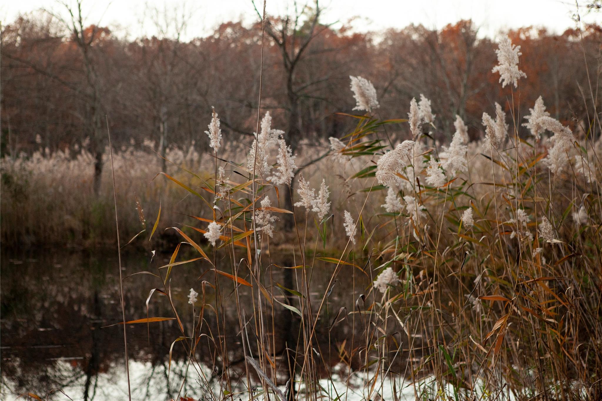 285 Sopak Road, Elizaville, NY 12523