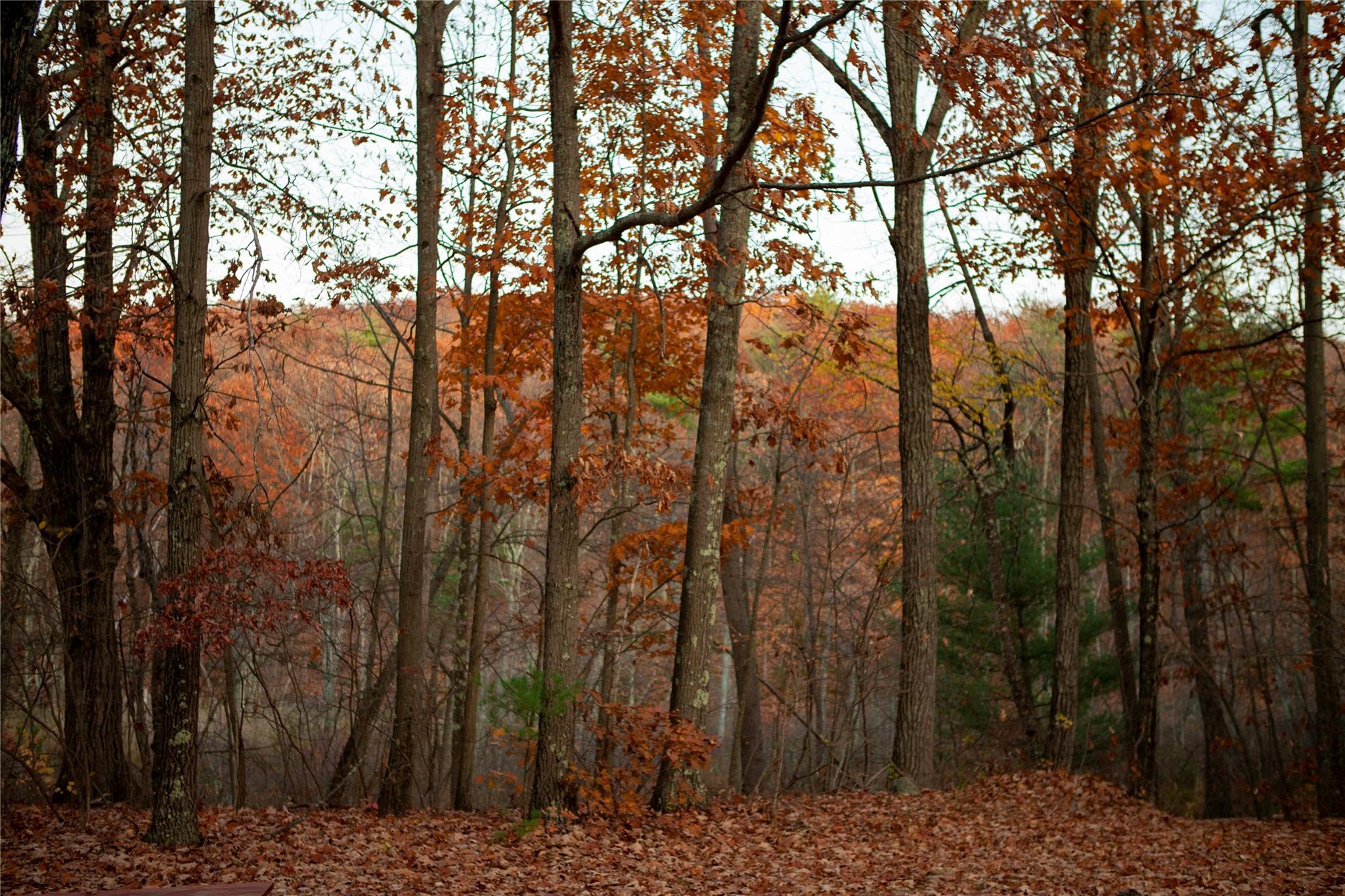 285 Sopak Road, Elizaville, NY 12523