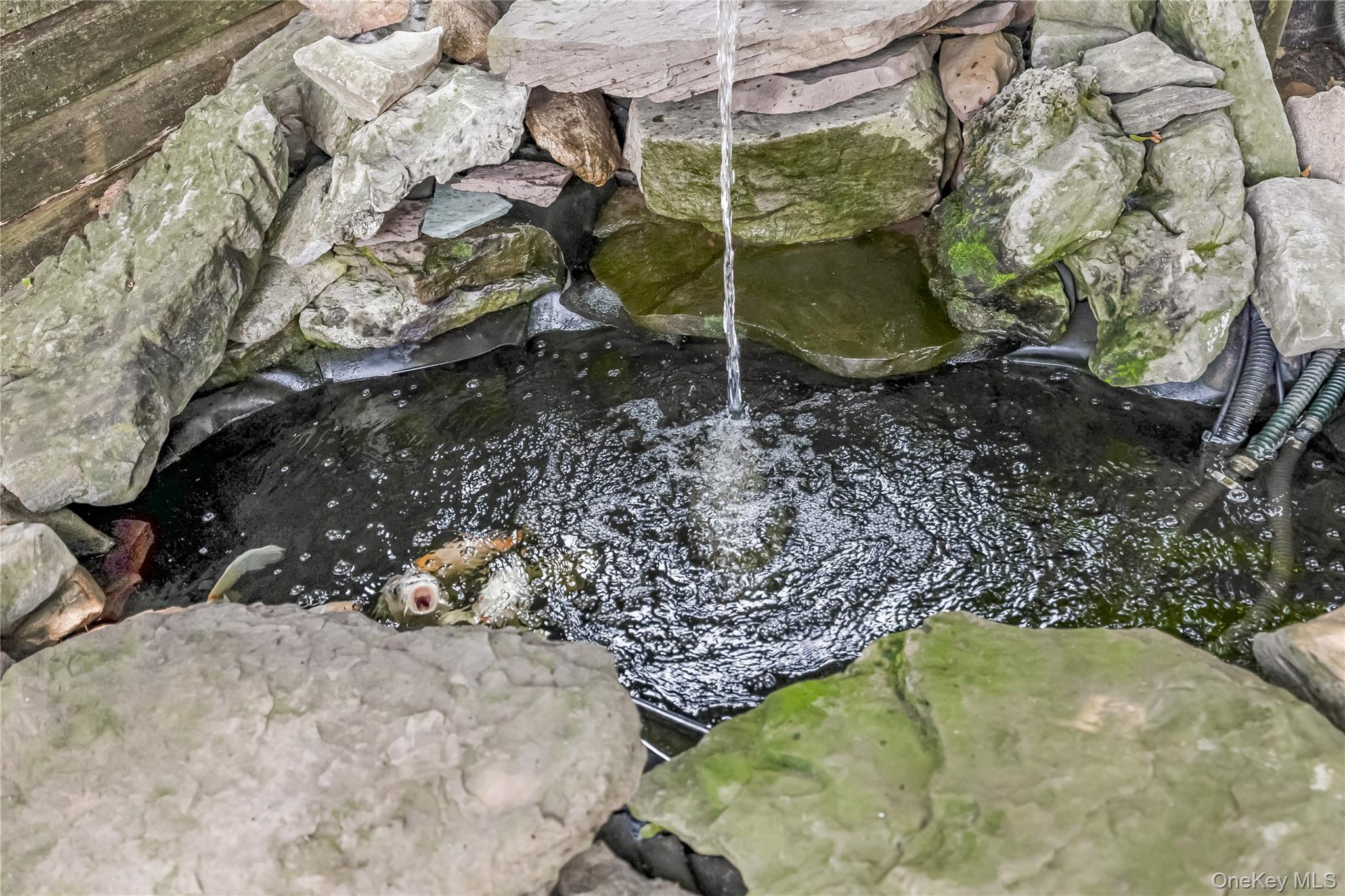 10 Saxon Road, Farmingdale, NY 11735