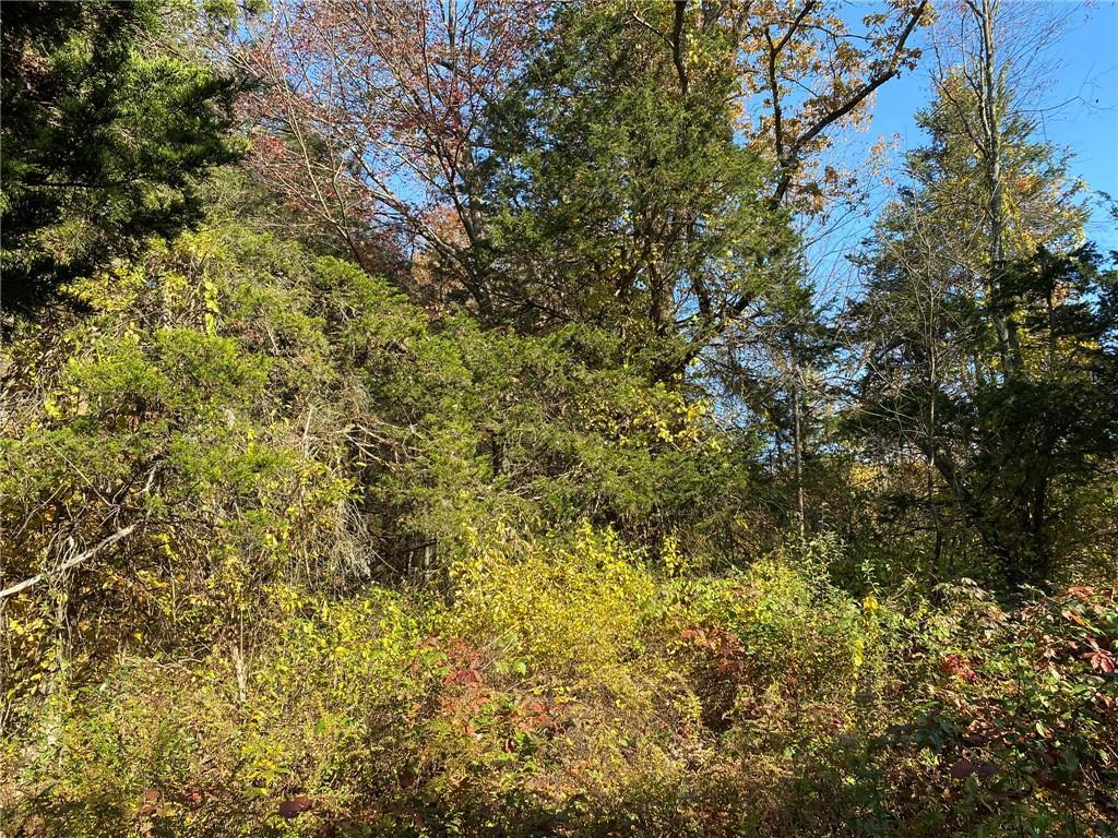 Beaver Rd (Jackson Crs), Red Hook, NY 12571