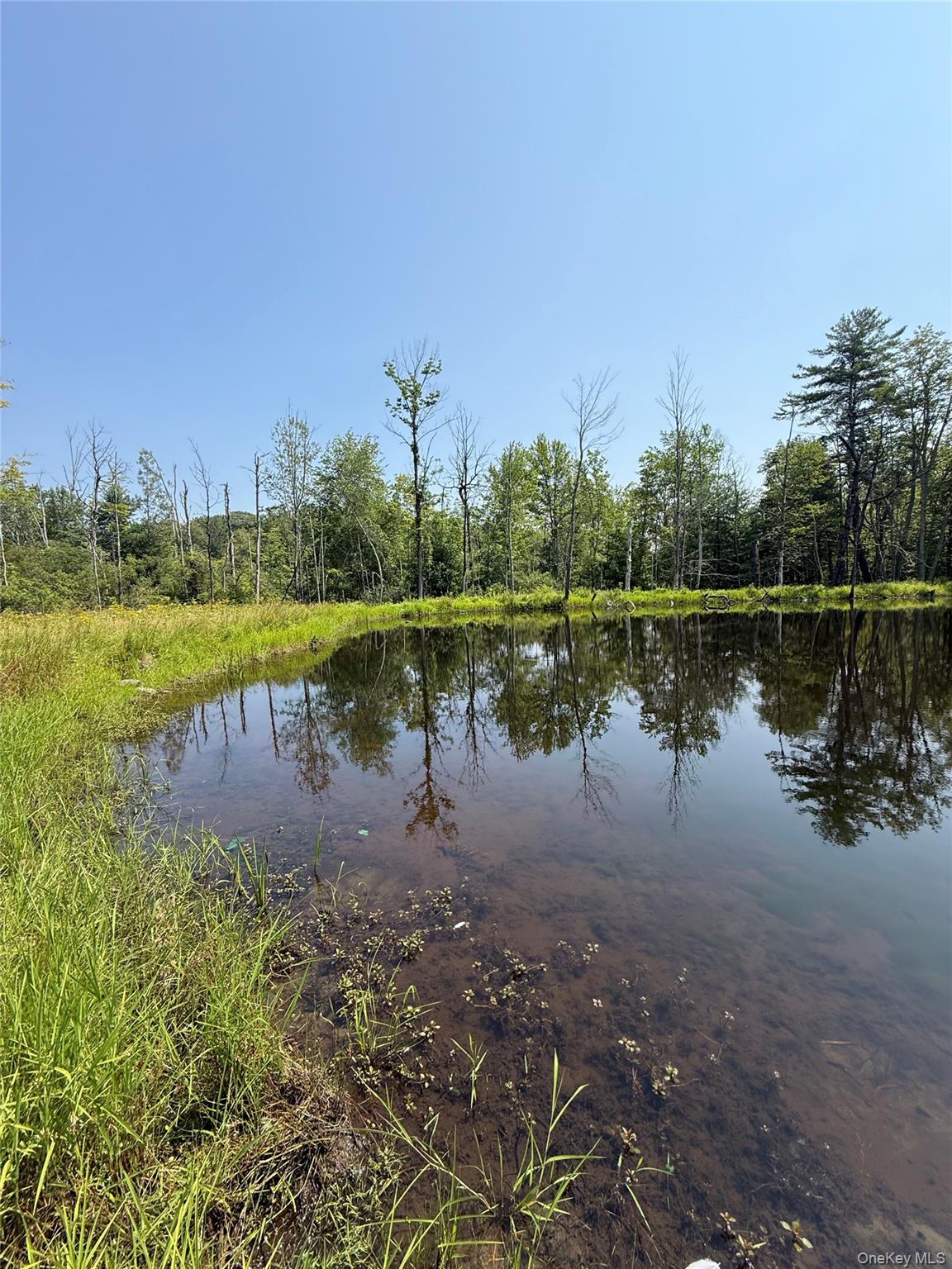 16 Kerness Road, Ellenville, NY 12428