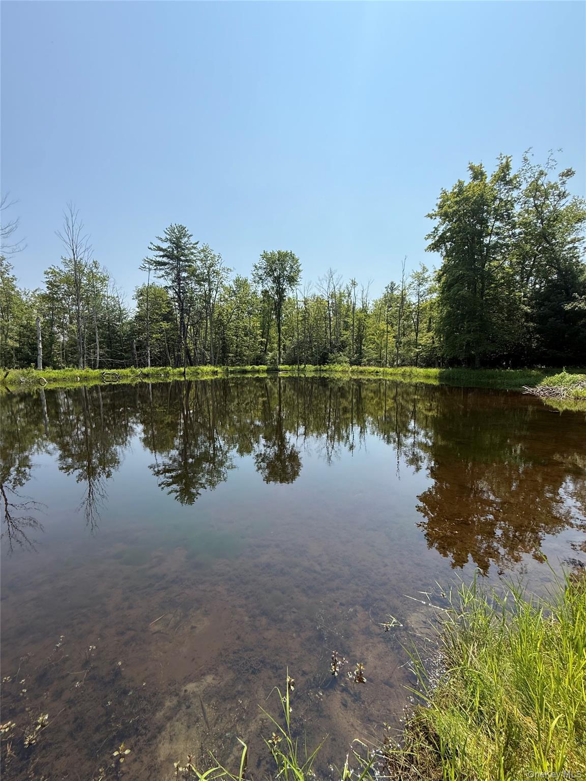 16 Kerness Road, Ellenville, NY 12428