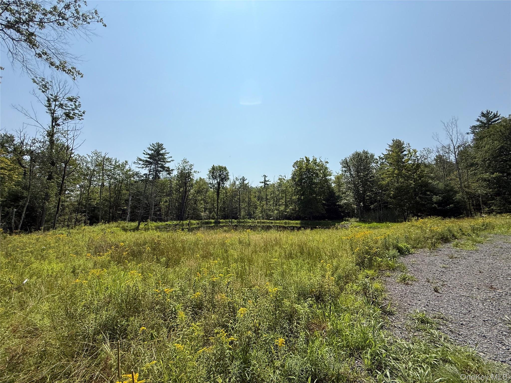 16 Kerness Road, Ellenville, NY 12428