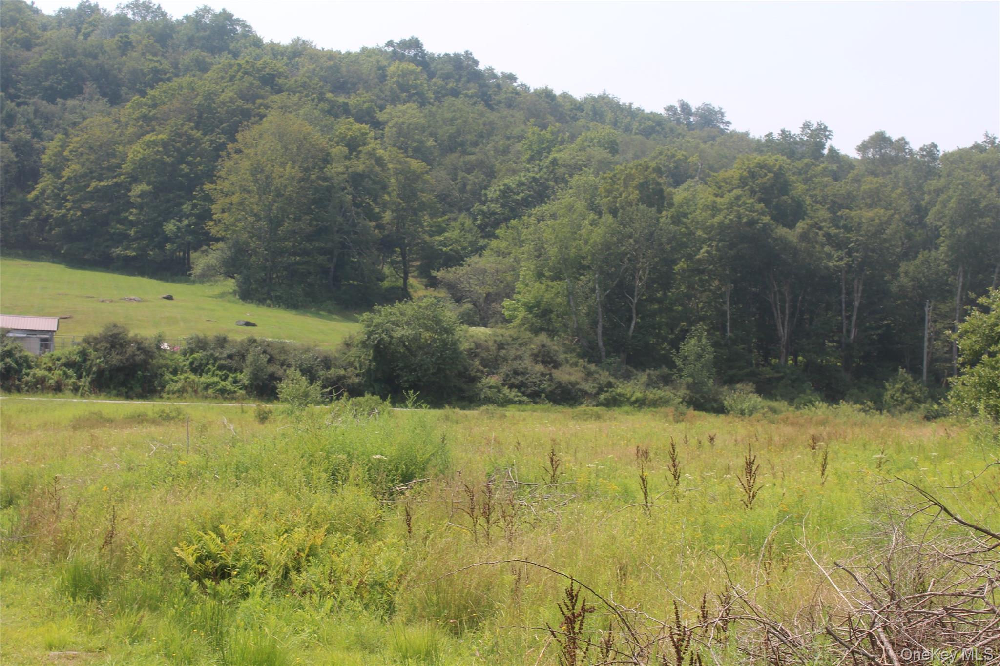 Dutch Hill, Call Listing Agent, NY 12776