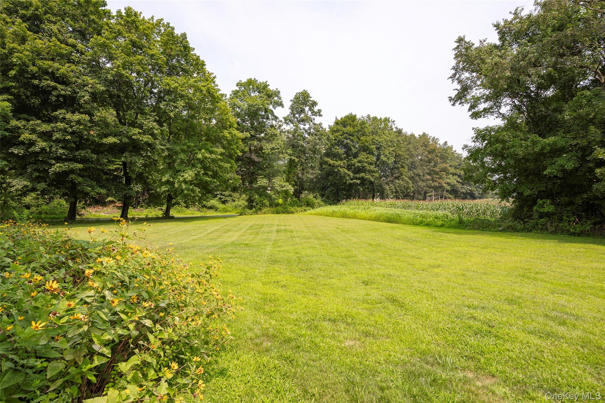 143 Ryan Road, Pine Plains, NY 12567