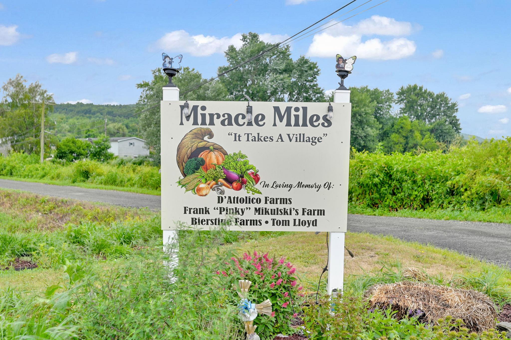 399 Mission Land Road, Pine Island, NY 10969