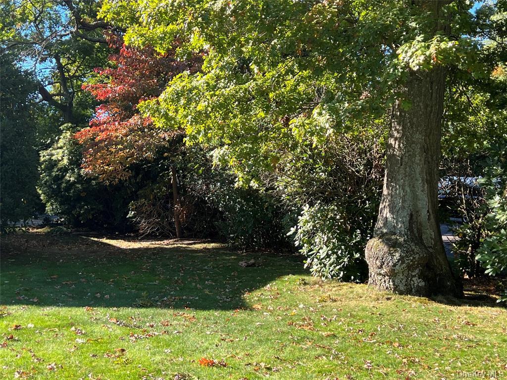 2566 Middle Country Road, Centereach, NY 11720