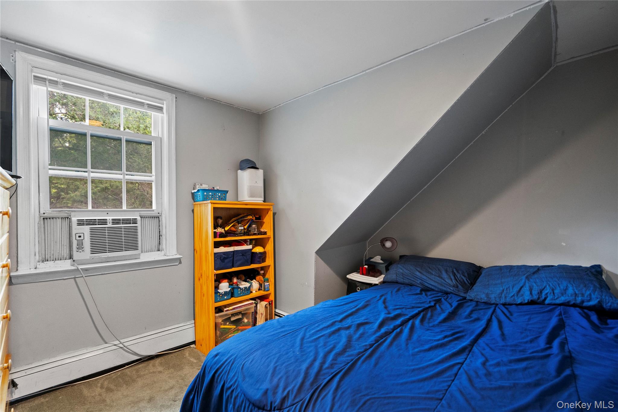 25 Hillside Avenue, Woodbury, NY 11797