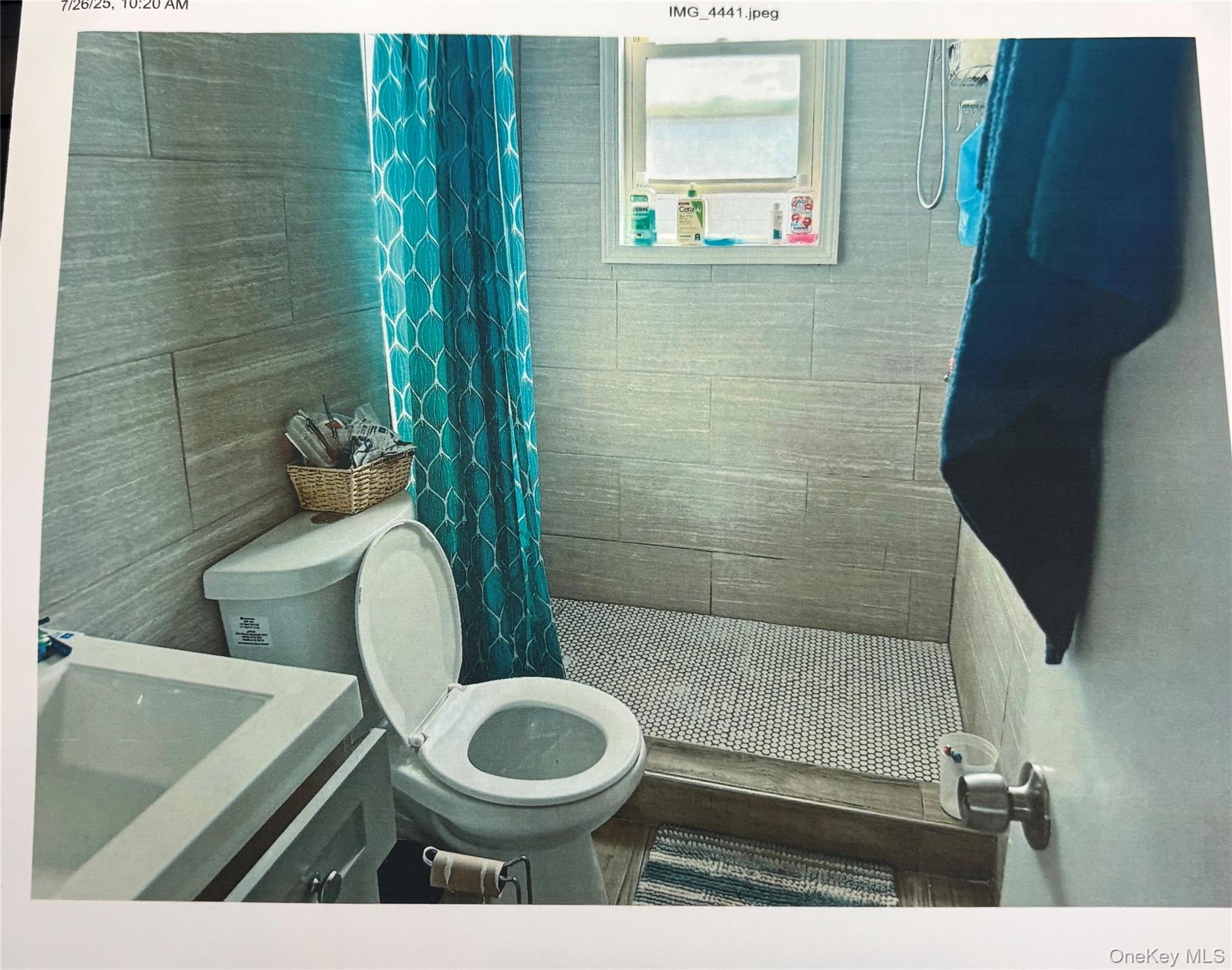 1243 E 91 ST Street, Brooklyn, NY 11236