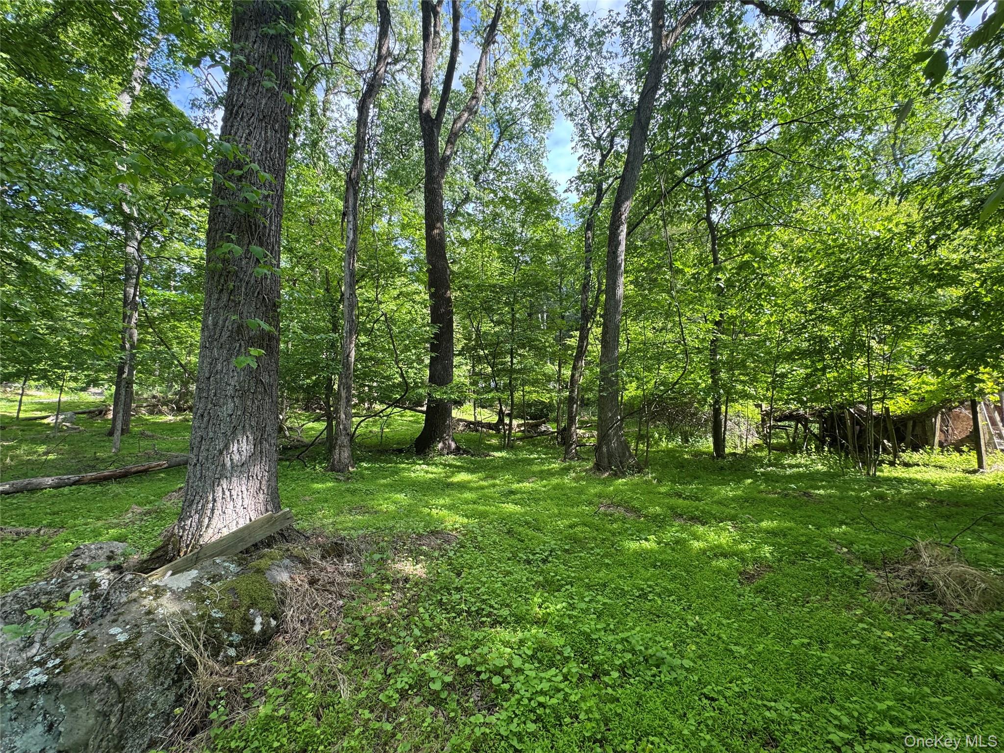 68 Union School Road, Montgomery, NY 12549