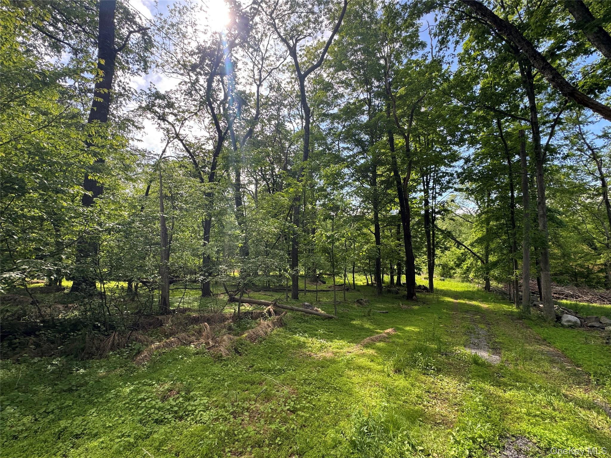 68 Union School Road, Montgomery, NY 12549