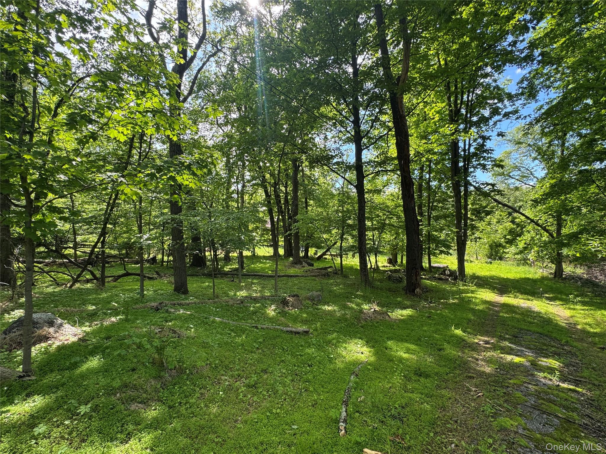 68 Union School Road, Montgomery, NY 12549