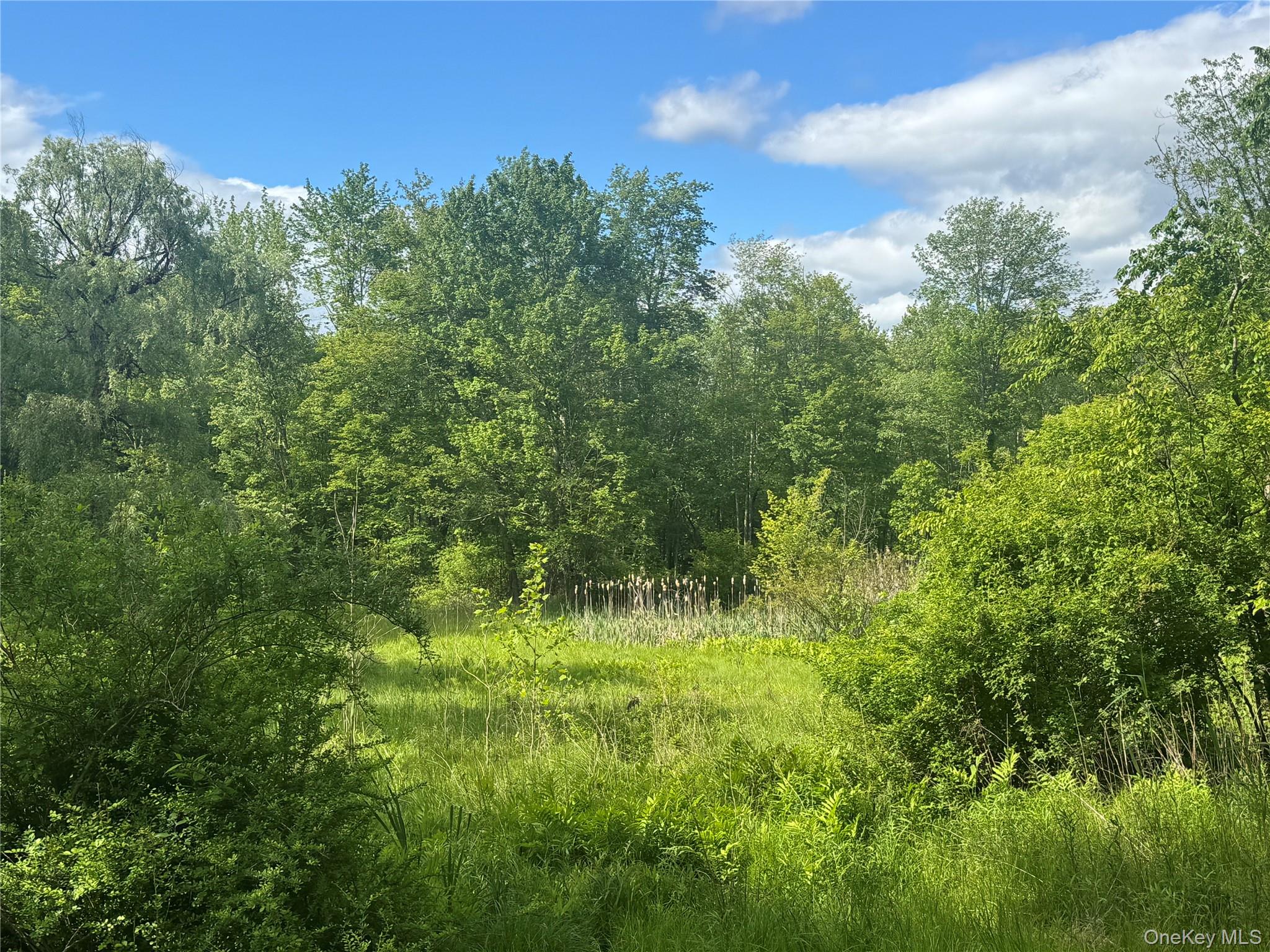 68 Union School Road, Montgomery, NY 12549