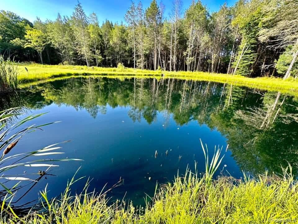 595 Hurd And Parks Road, Swan Lake, NY 12783