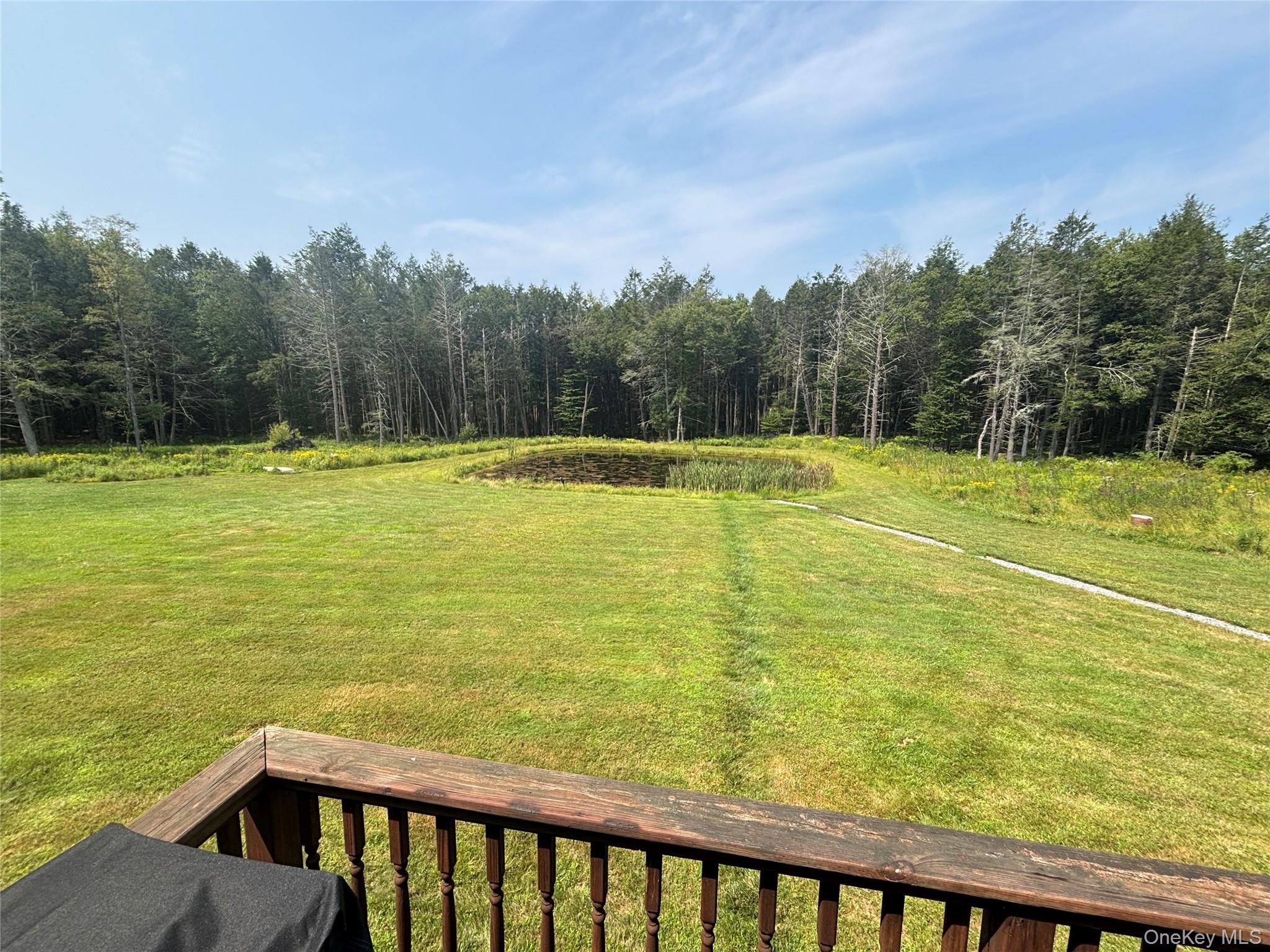 595 Hurd And Parks Road, Swan Lake, NY 12783