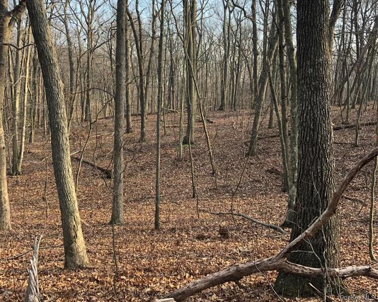 7 Wood Path Drive, Northport, NY 11768