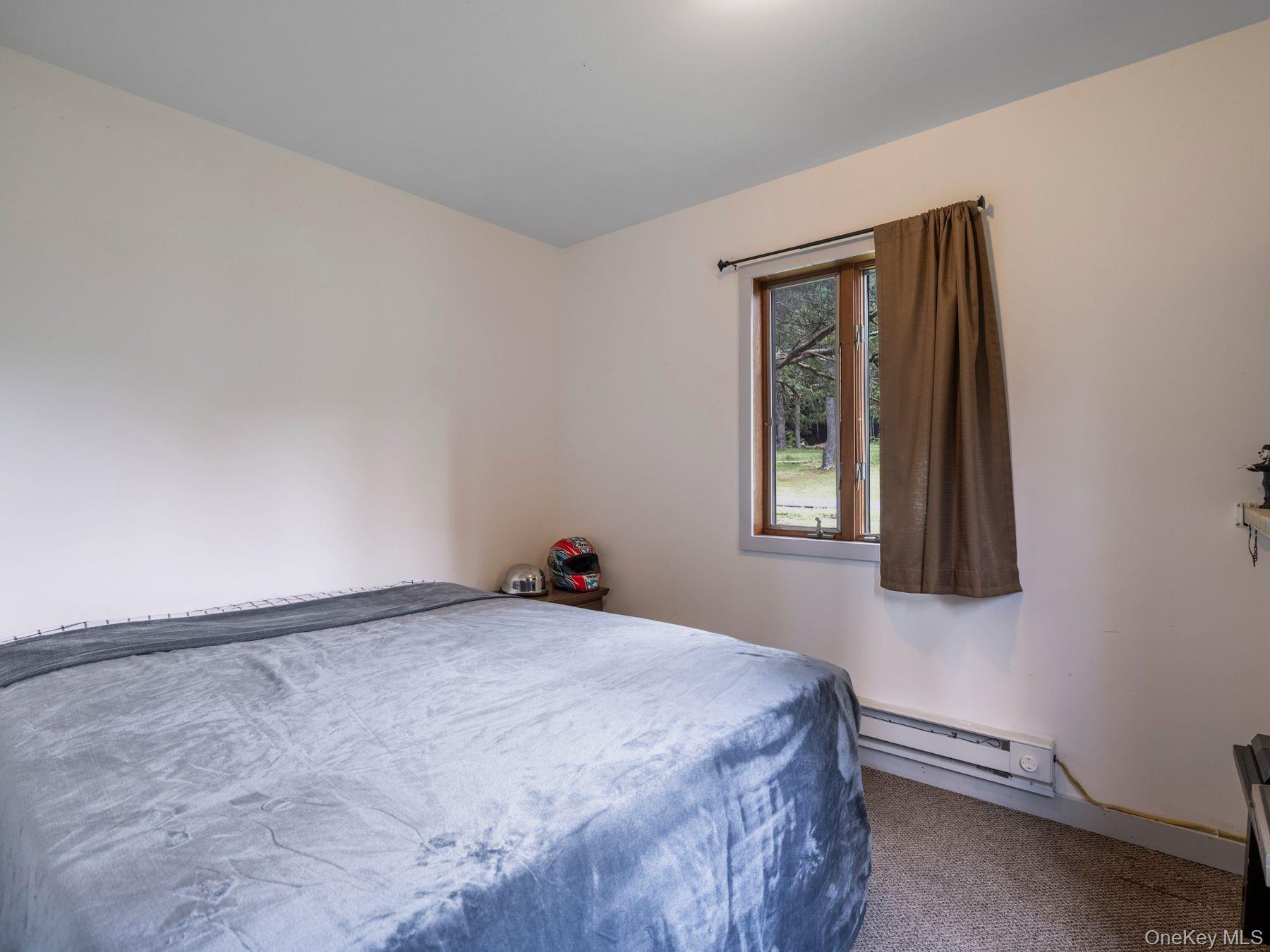 98 S Lincoln Drive, Cairo, NY 12413