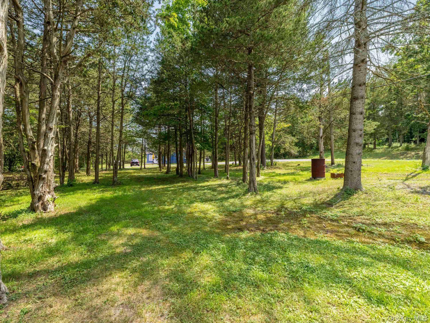 98 S Lincoln Drive, Cairo, NY 12413