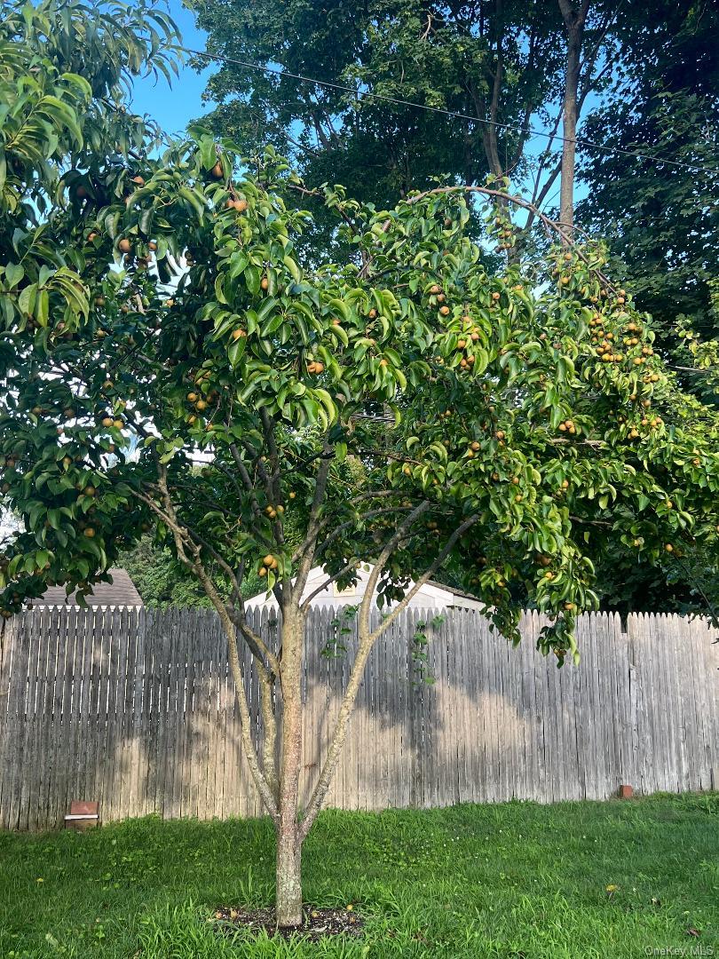 10 Otsego Place, Commack, NY 11725