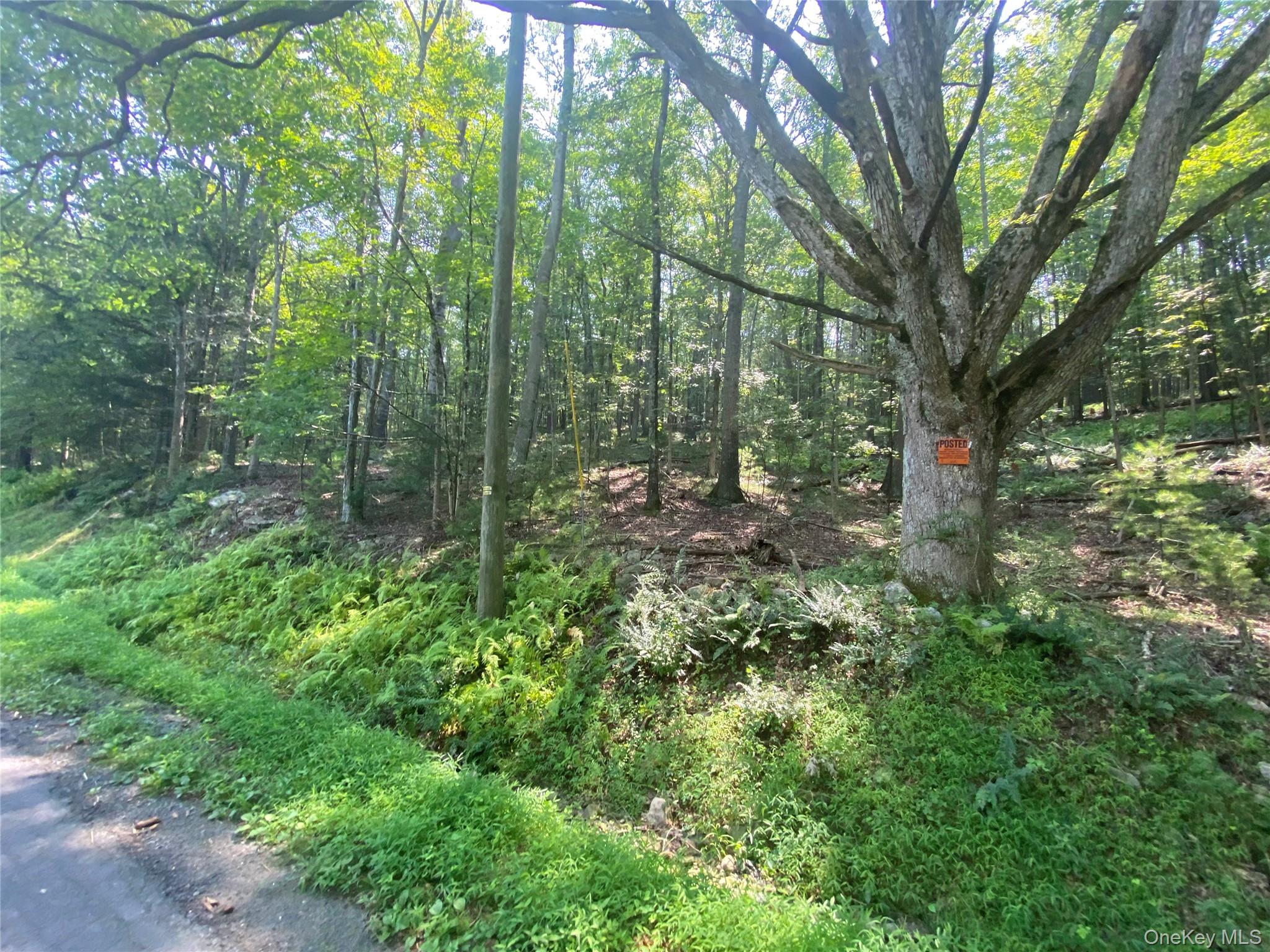 South Road, Wurtsboro, NY 12790