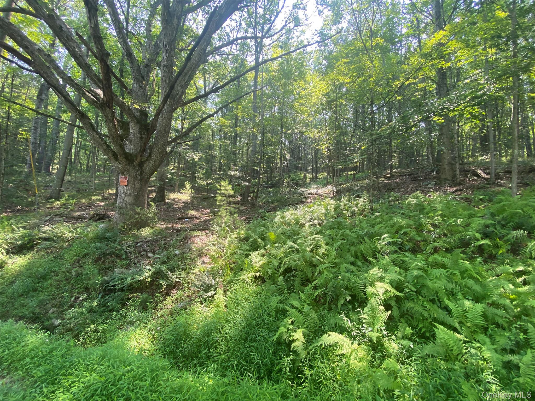 South Road, Wurtsboro, NY 12790