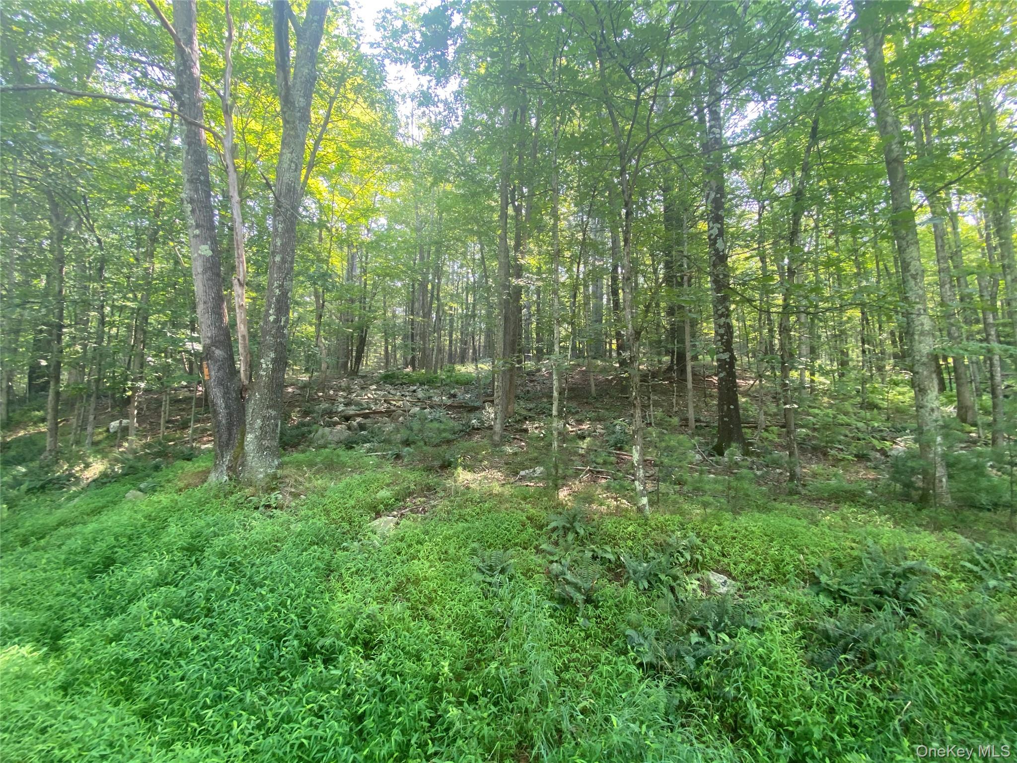 South Road, Wurtsboro, NY 12790