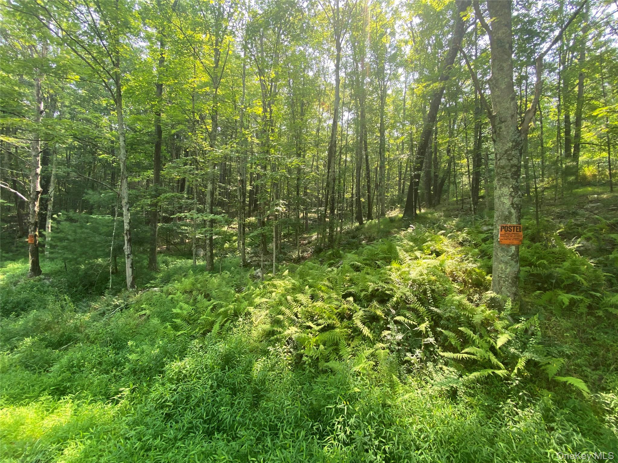 South Road, Wurtsboro, NY 12790