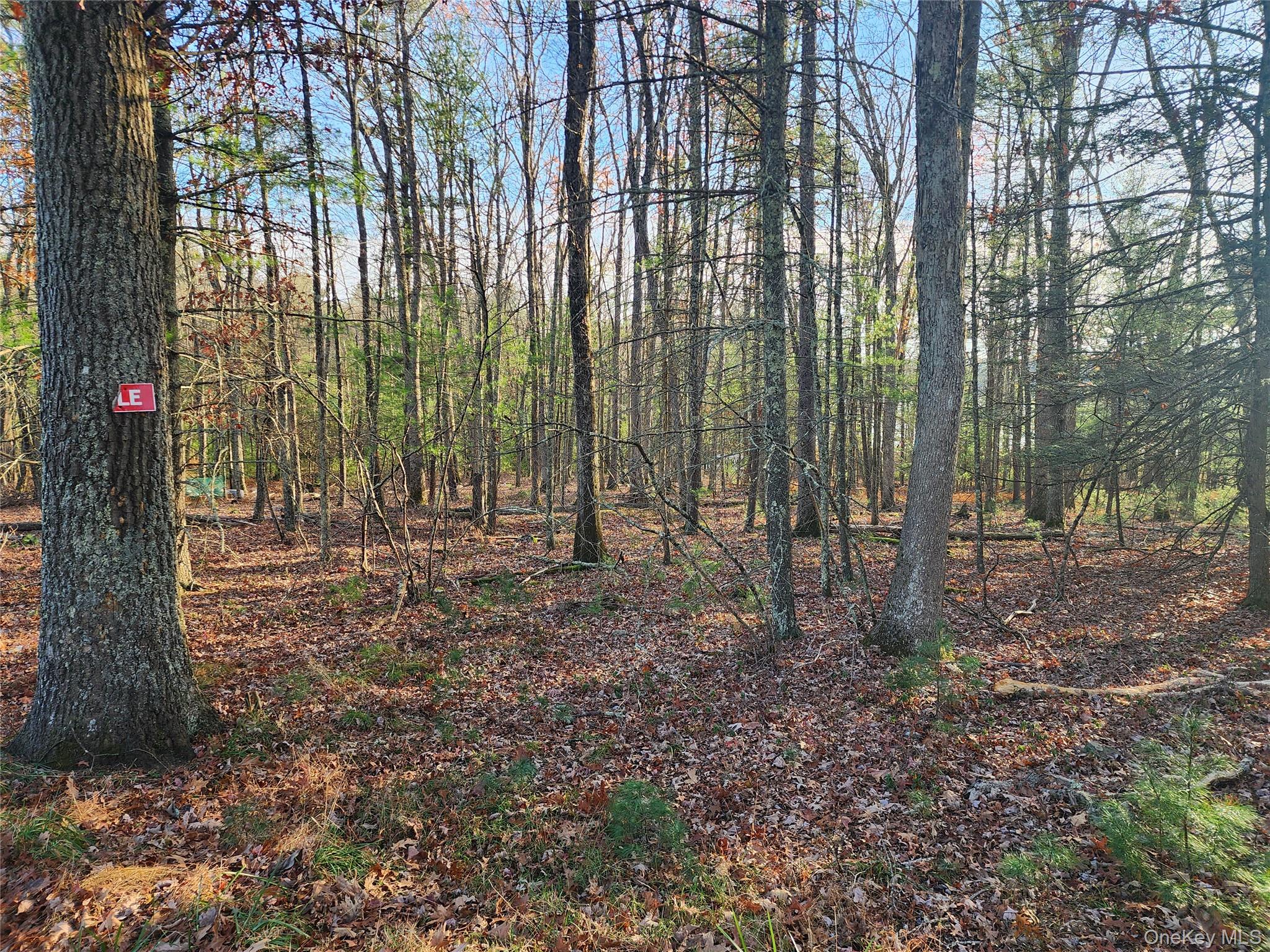 0 Taras Schevchenko Road, Glen Spey, NY 12737