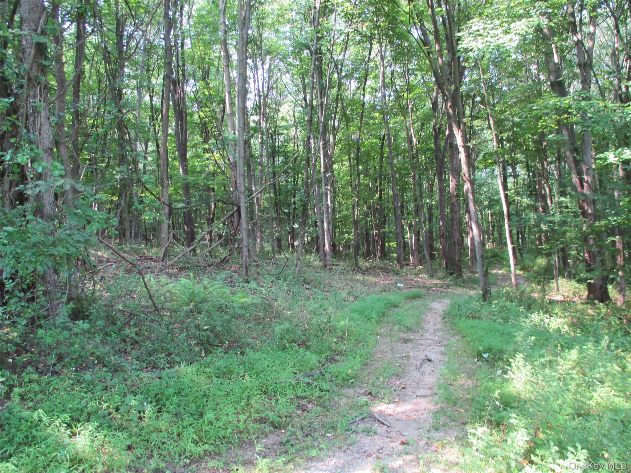 Brady Road, Warwick, NY 10990