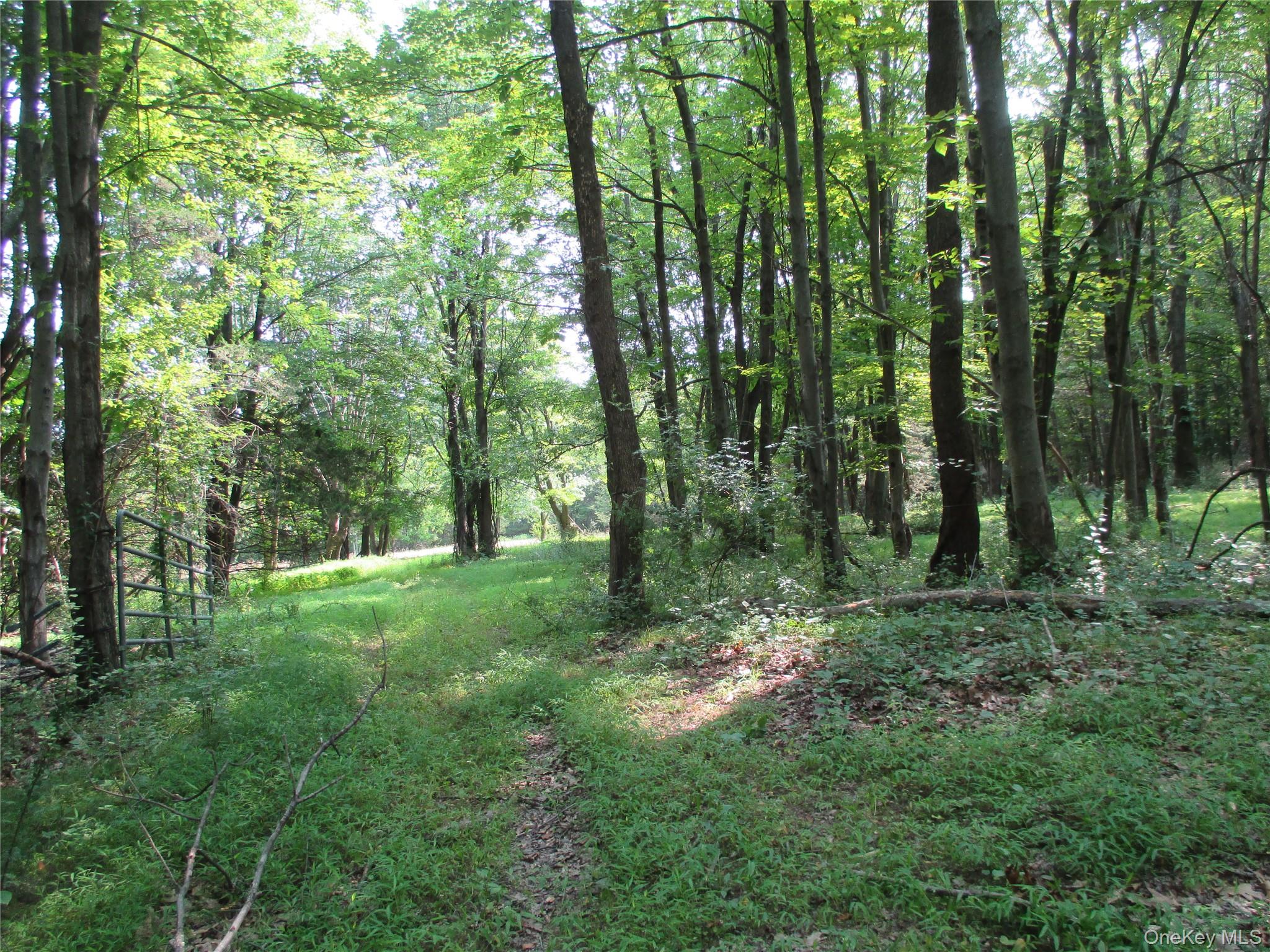 Brady Road, Warwick, NY 10990