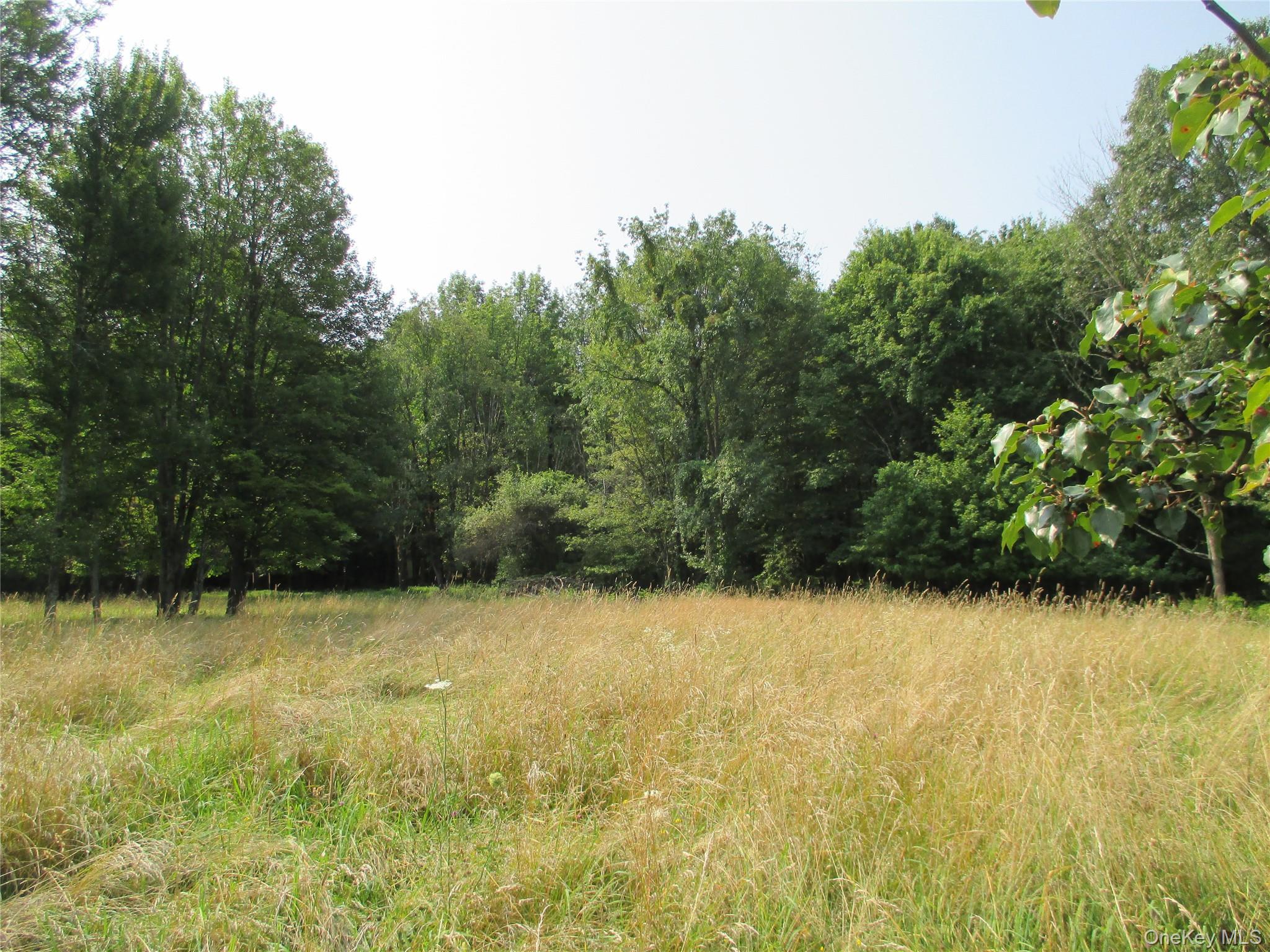 Brady Road, Warwick, NY 10990