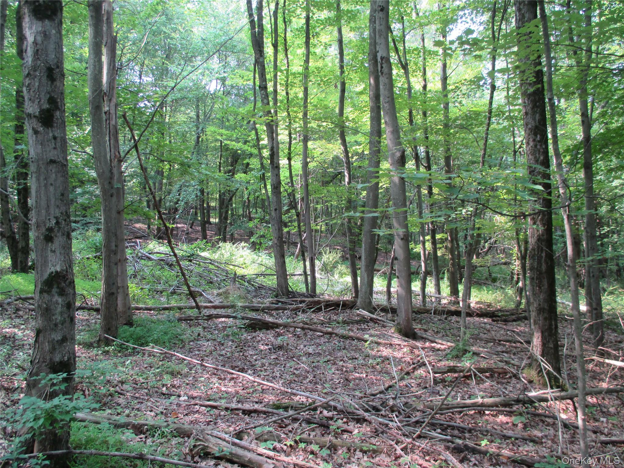 Brady Road, Warwick, NY 10990