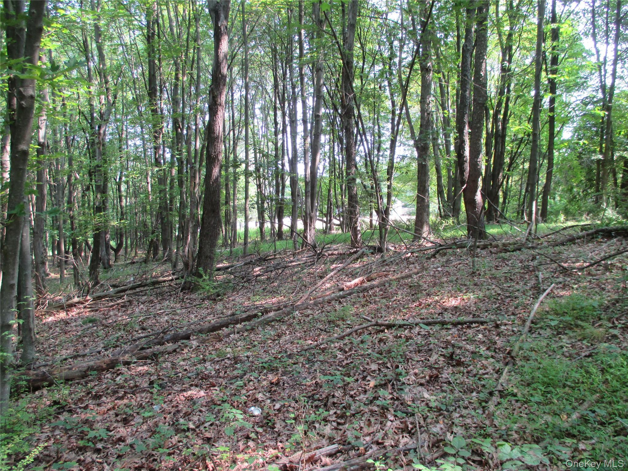 Brady Road, Warwick, NY 10990