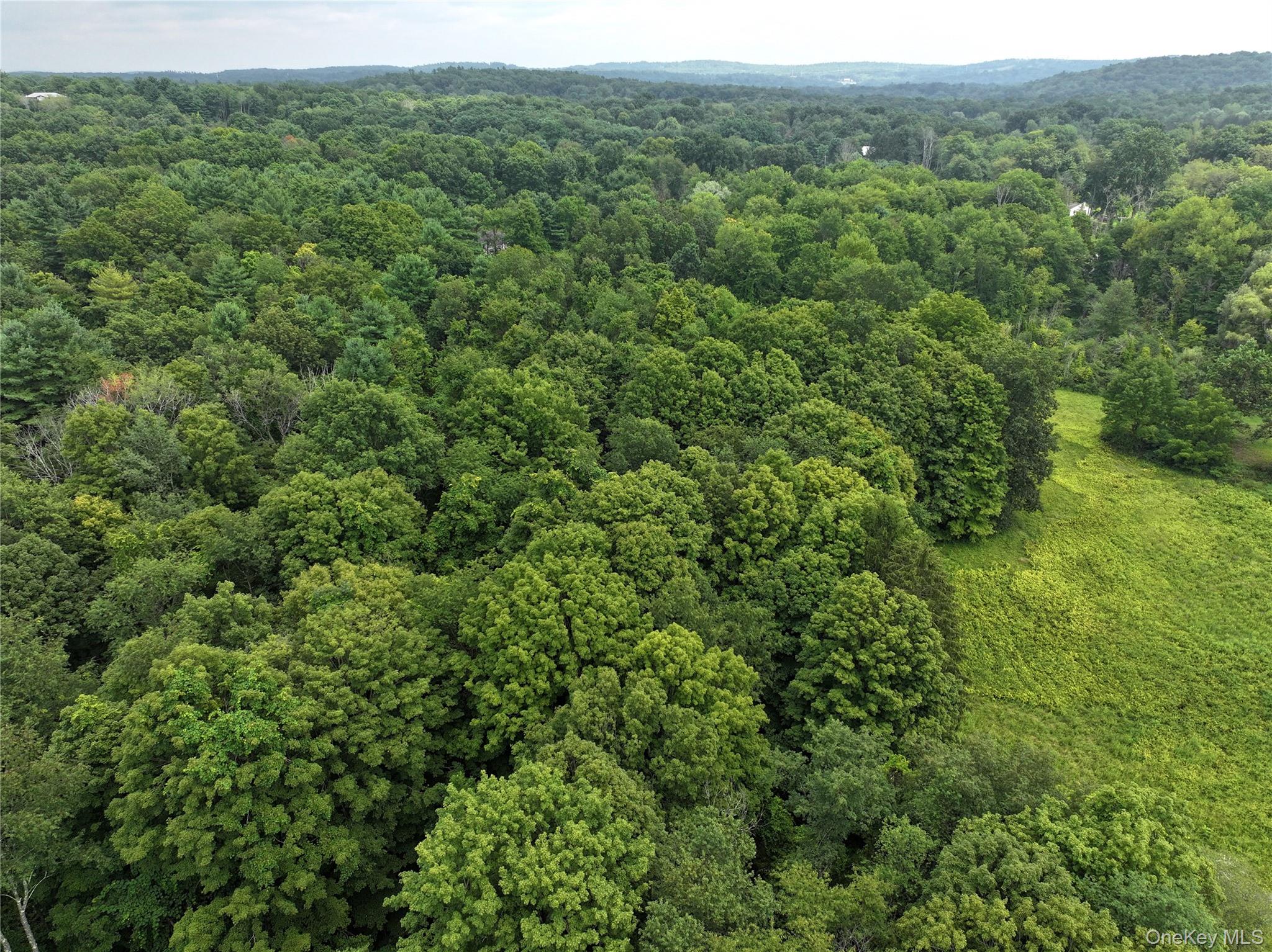 TBD Deer Run Road, Red Hook, NY 12571