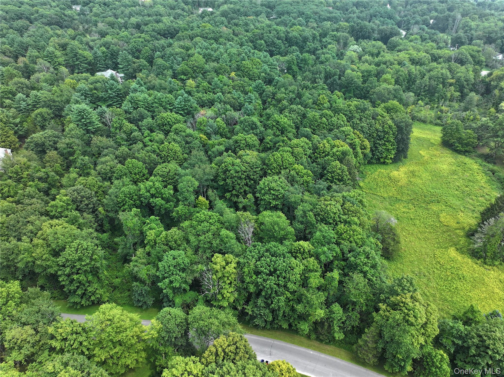 TBD Deer Run Road, Red Hook, NY 12571