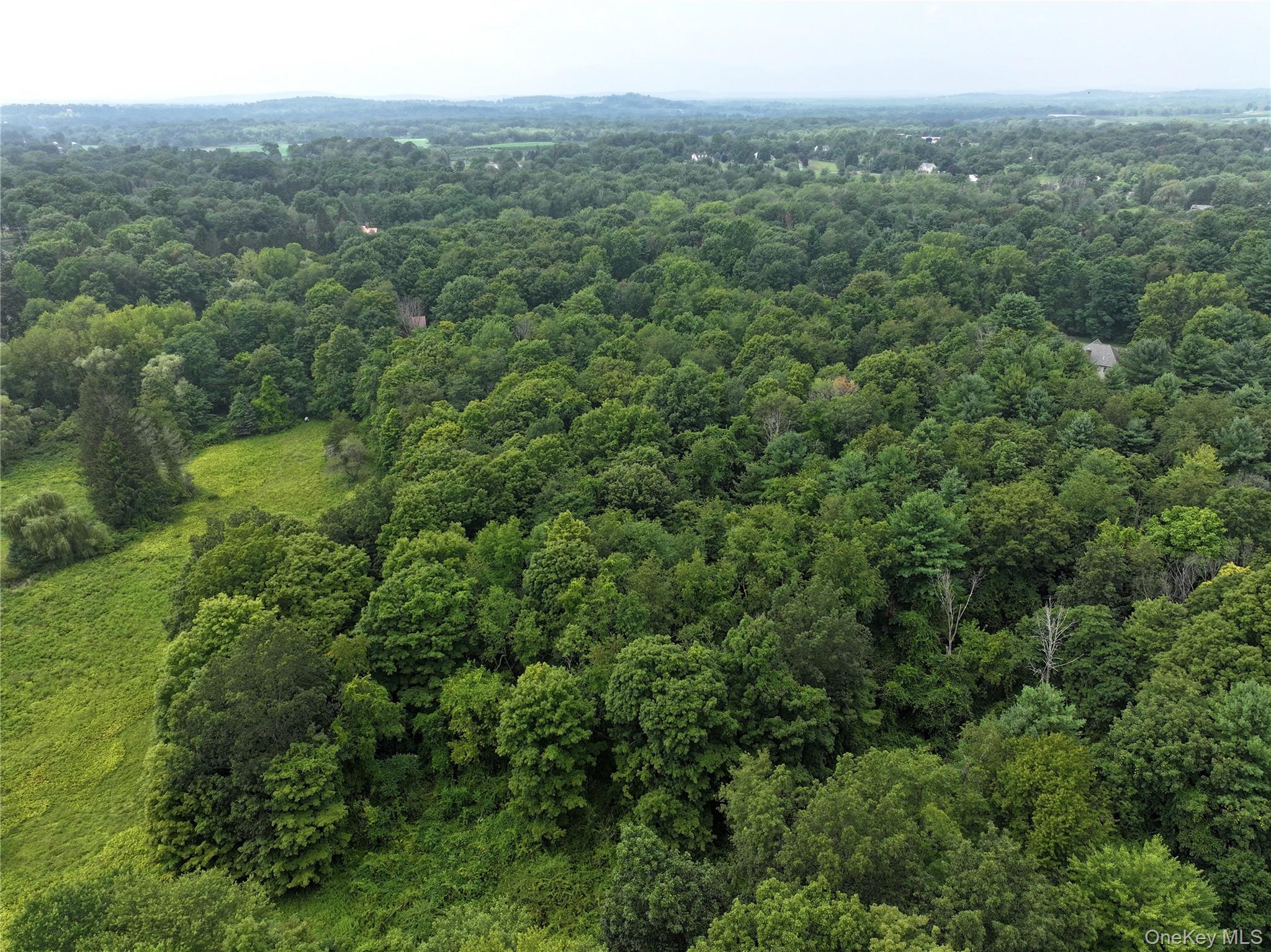 TBD Deer Run Road, Red Hook, NY 12571